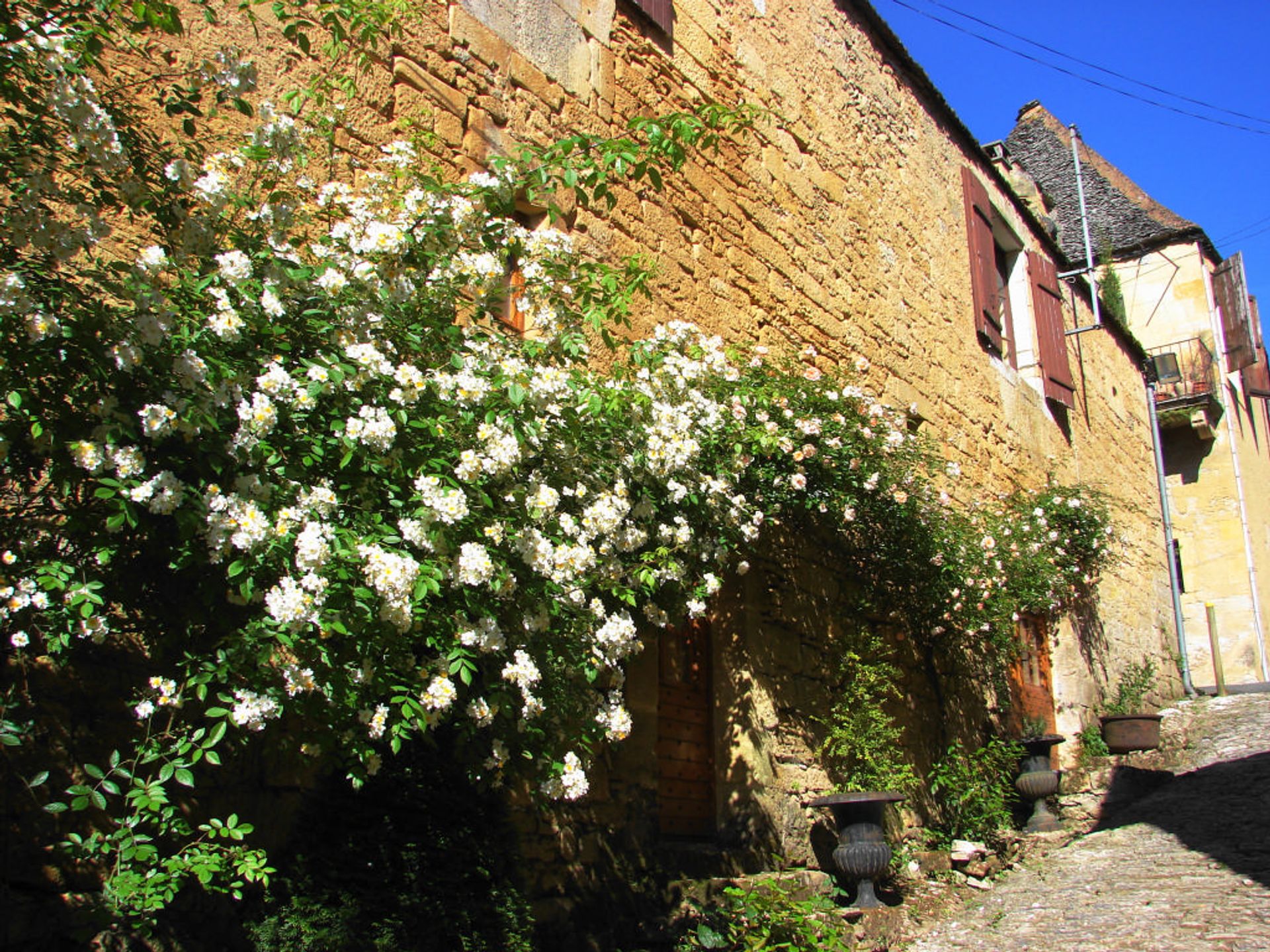 房子 在 Saint-Cyprien, Nouvelle-Aquitaine 10168422