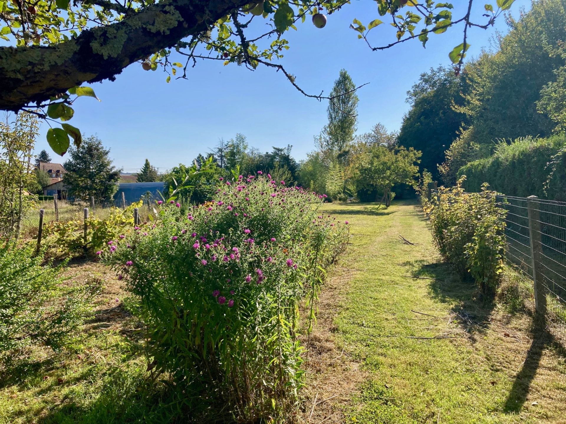 casa en Saint-Cyprien, Nouvelle-Aquitaine 10168445