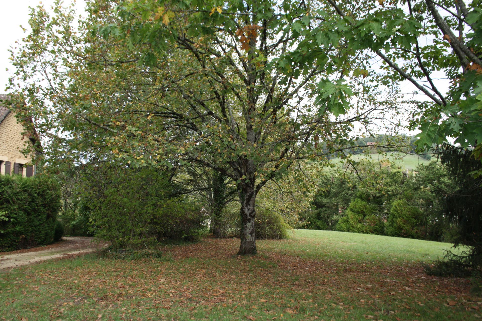 Rumah di Saint-Cyprien, Nouvelle-Aquitaine 10168543