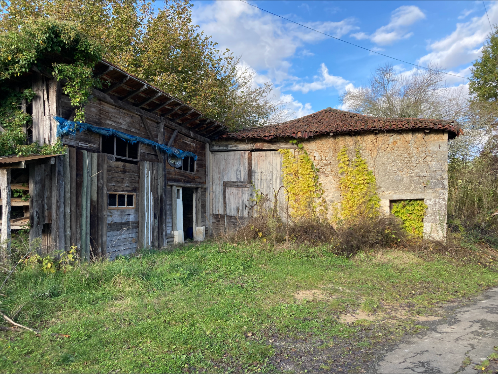 Haus im Saint-Cyprien, Nouvelle-Aquitaine 10168544