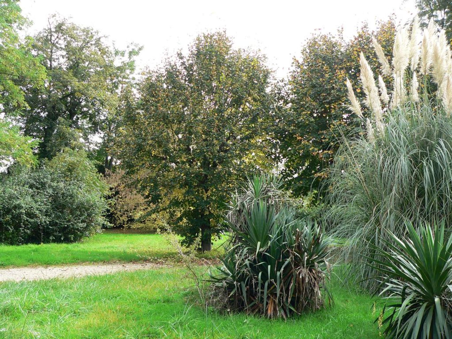 بيت في Saint-Cyprien, Nouvelle-Aquitaine 10168563