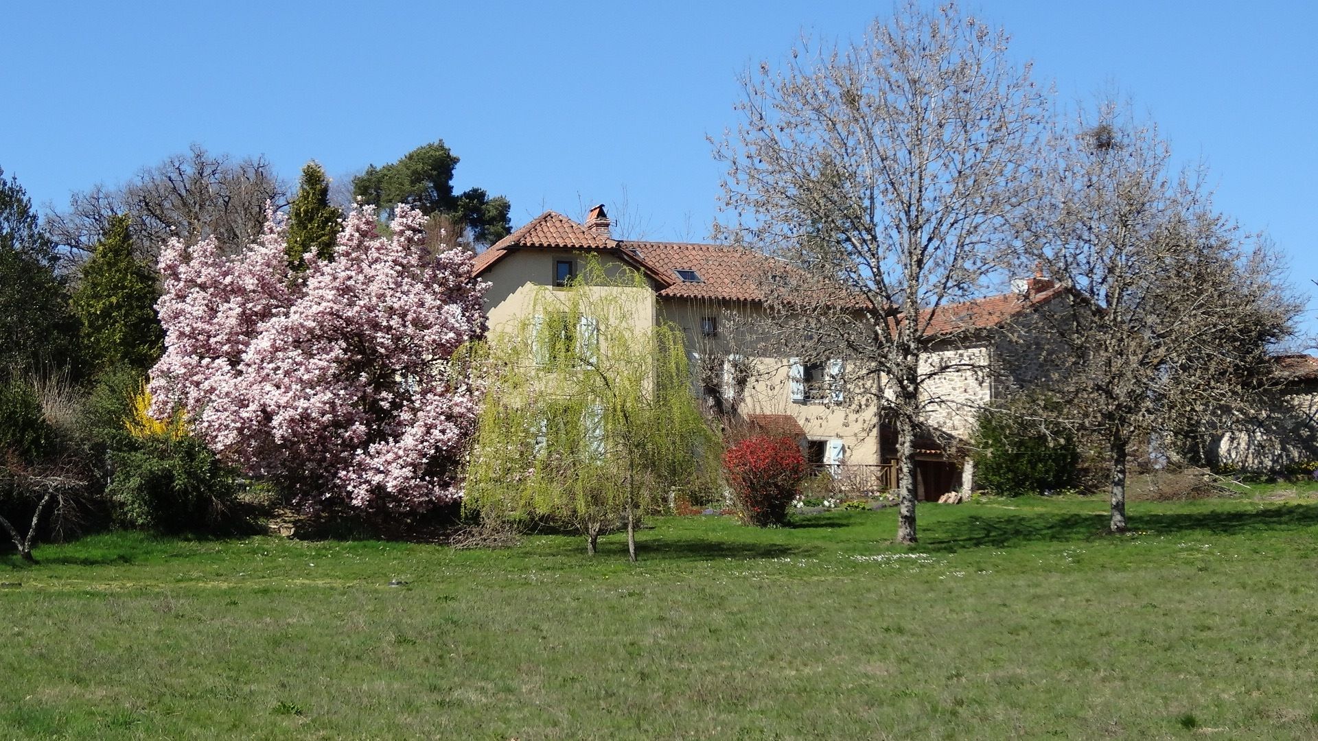 σπίτι σε Saint-Cyprien, Nouvelle-Aquitaine 10168567