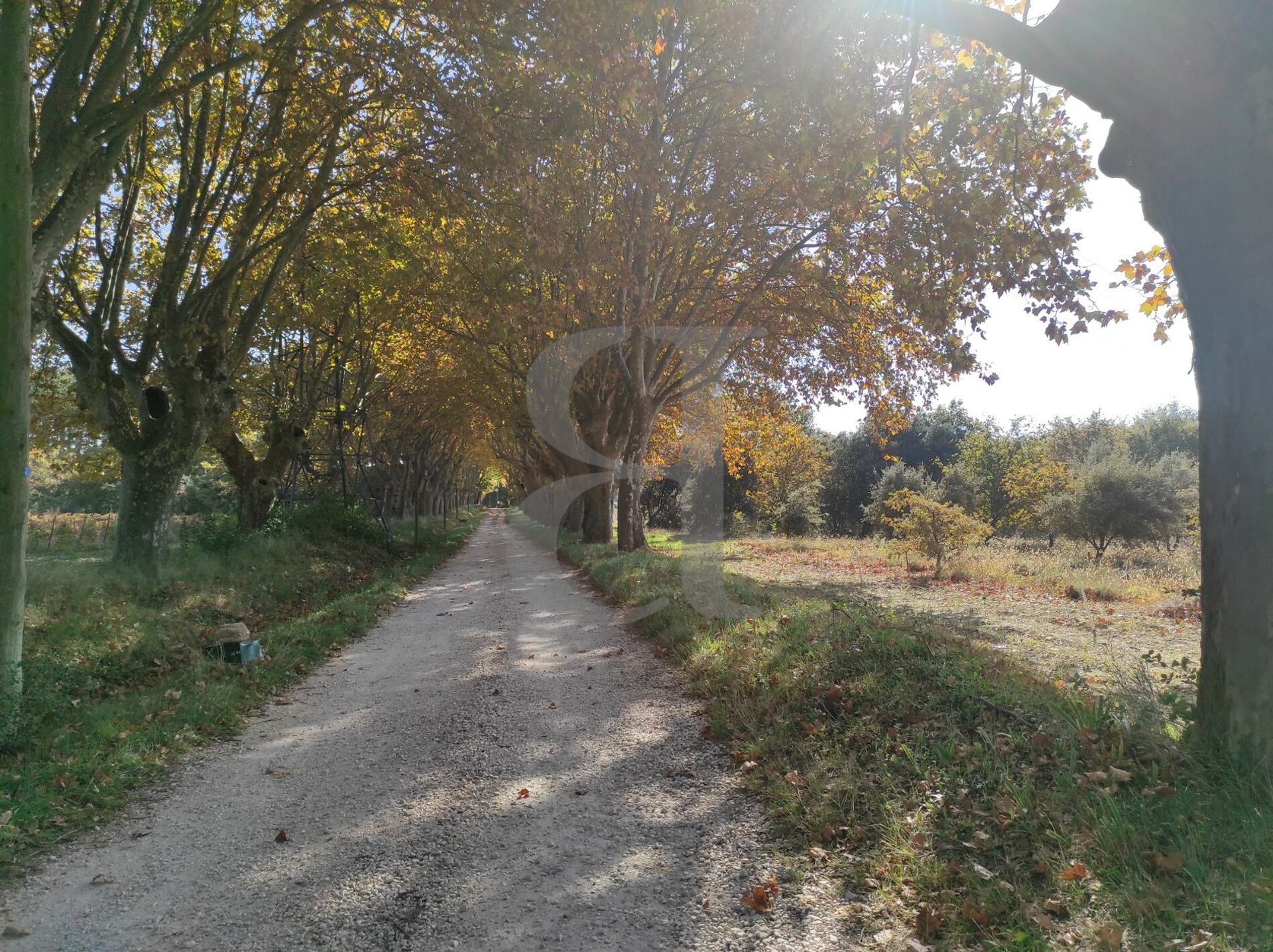 Eigentumswohnung im Nyons, Auvergne-Rhône-Alpes 10168574