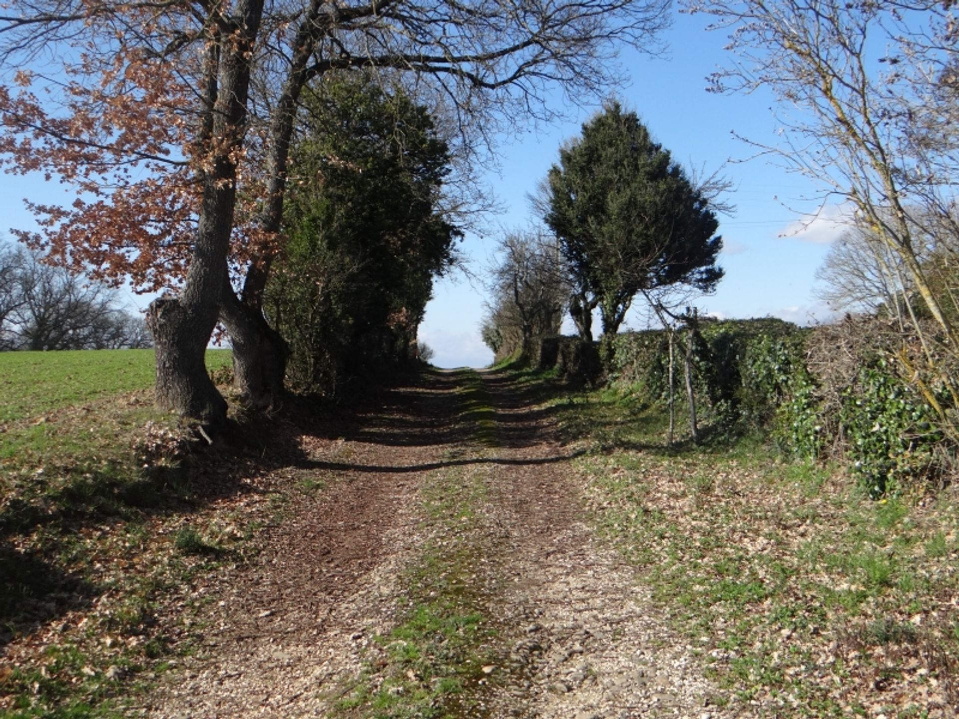 بيت في Masseube, Occitanie 10168649