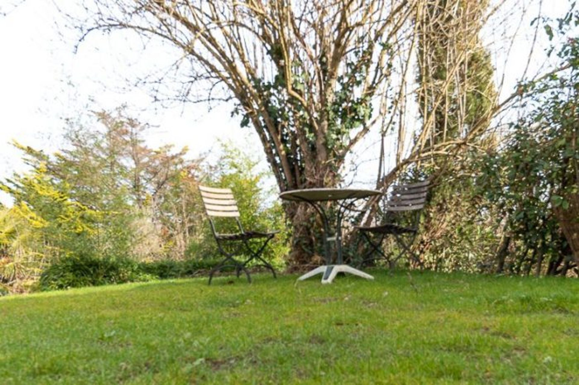 casa en Bassoues, Occitanie 10168691