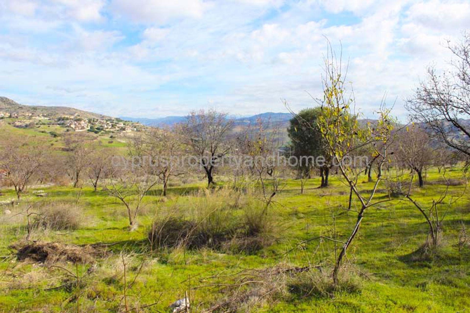 Land in Agia Marinouda, Pafos 10168753