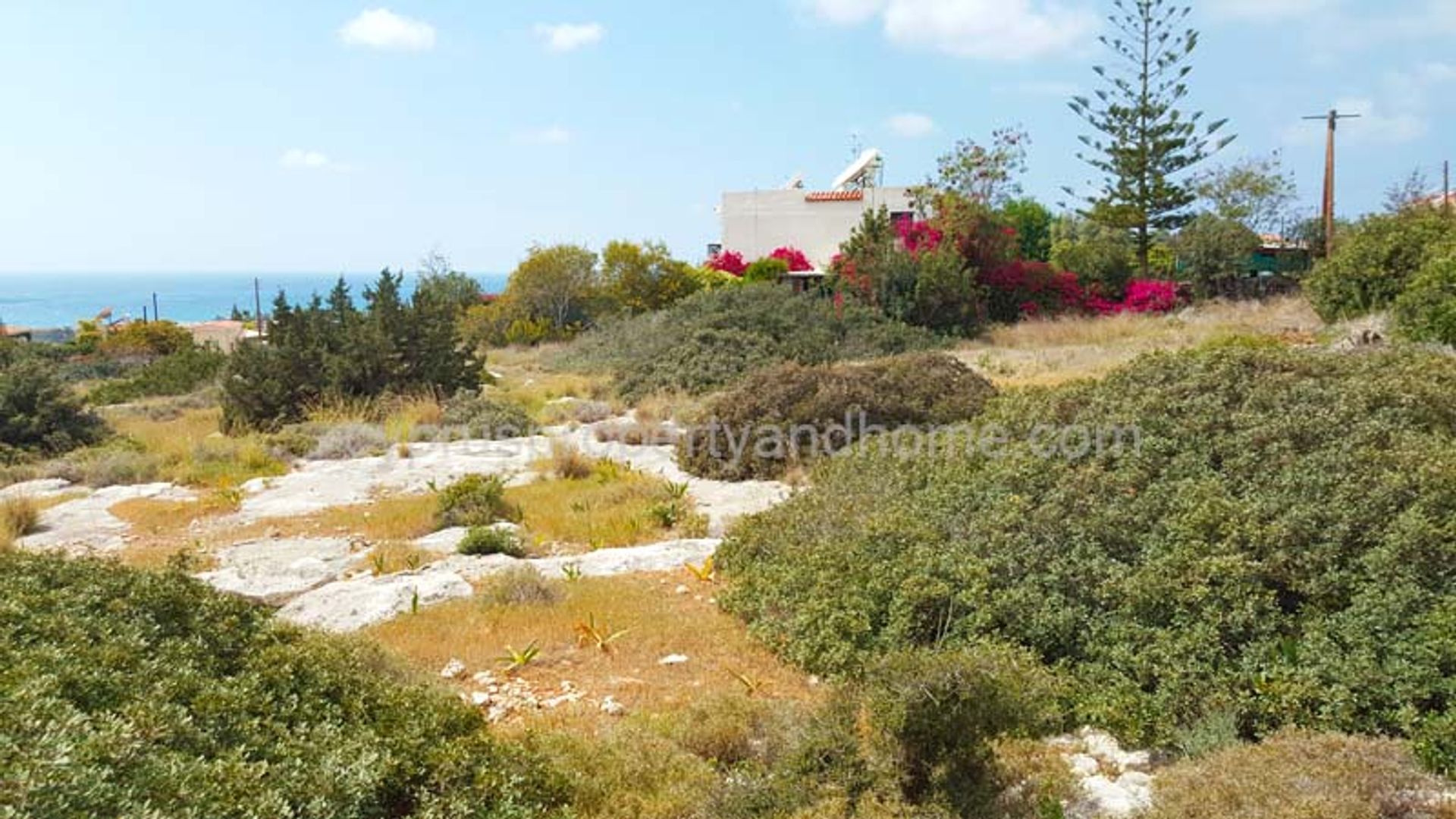 Land in Lempa, Pafos 10168779