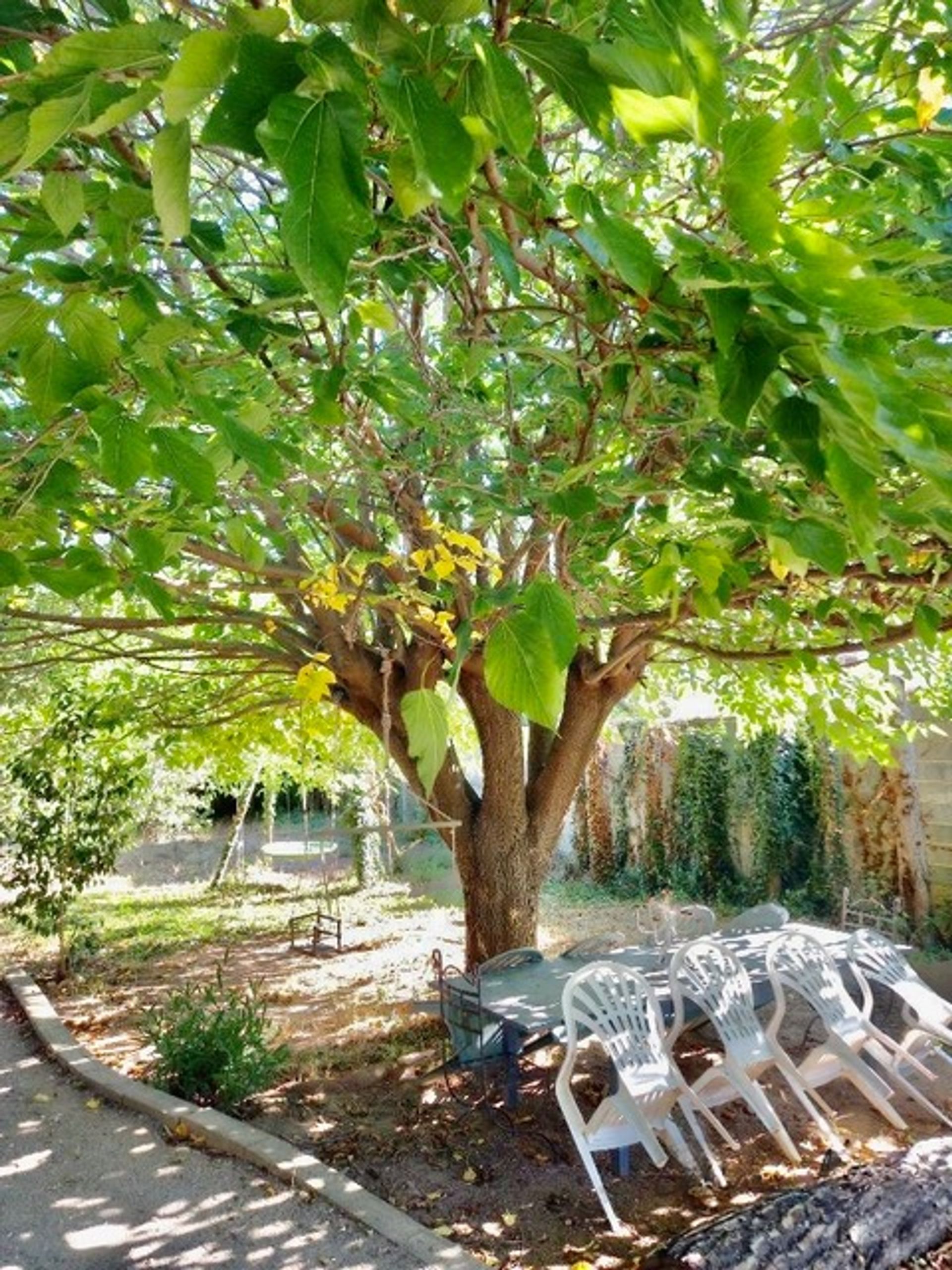 casa en Béziers, Occitanie 10169744