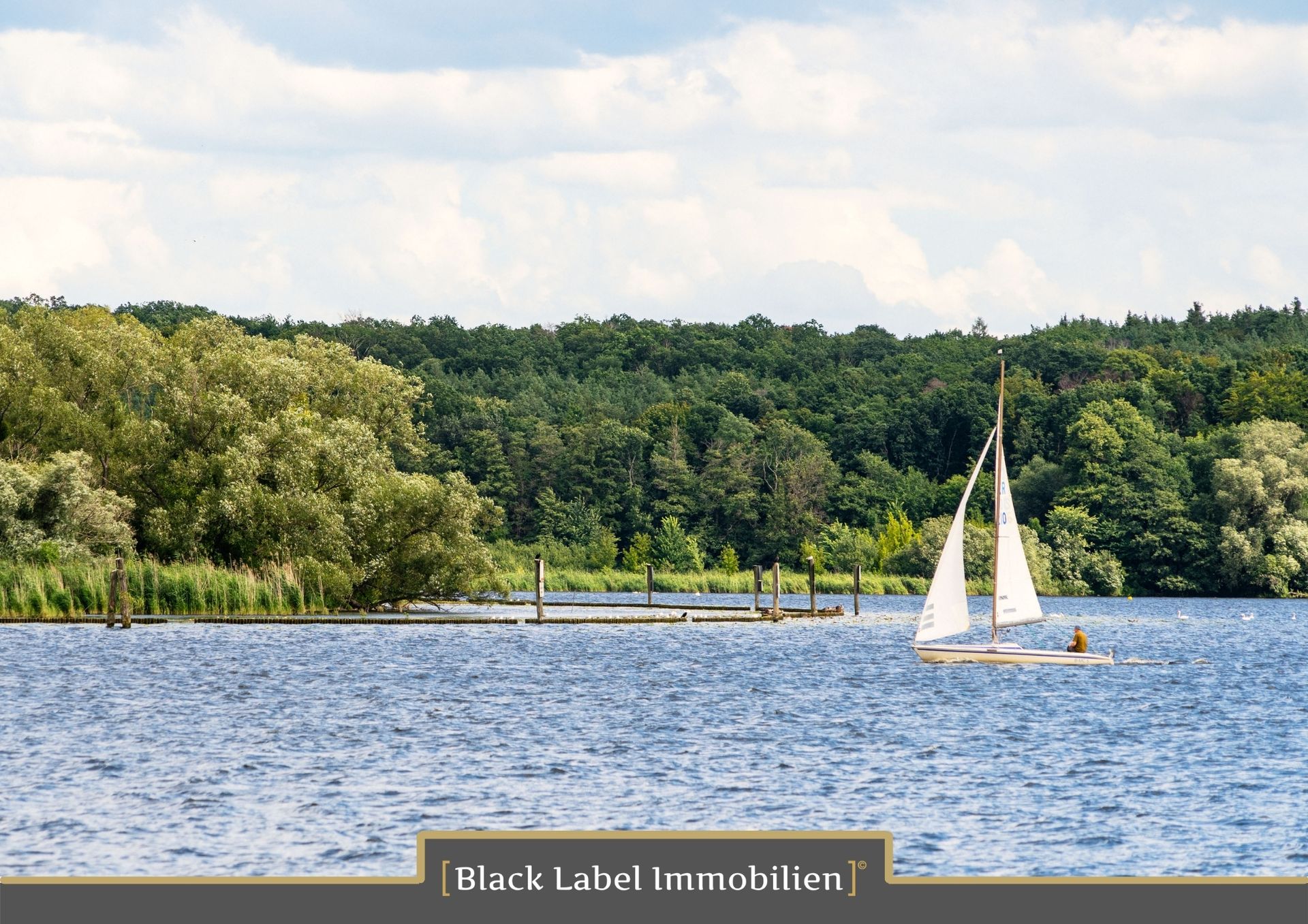 Kondominium dalam Potsdam, Brandenburg 10170199