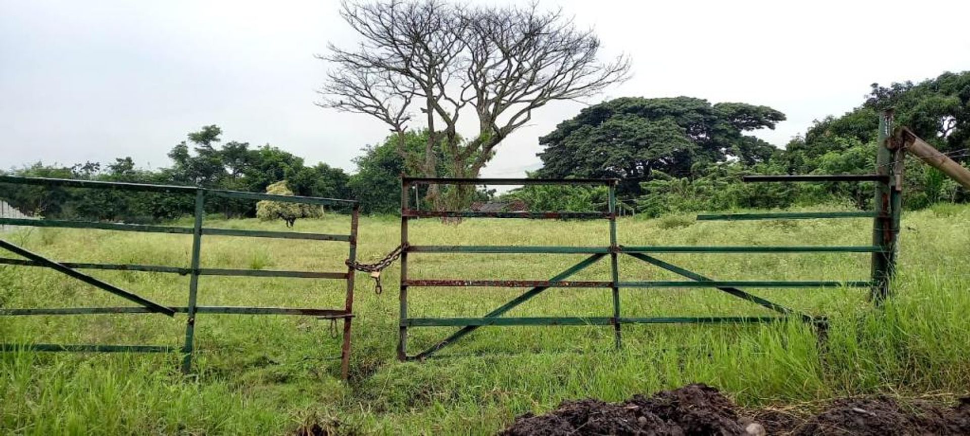 Land in Narino, Valle del Cauca 10171052