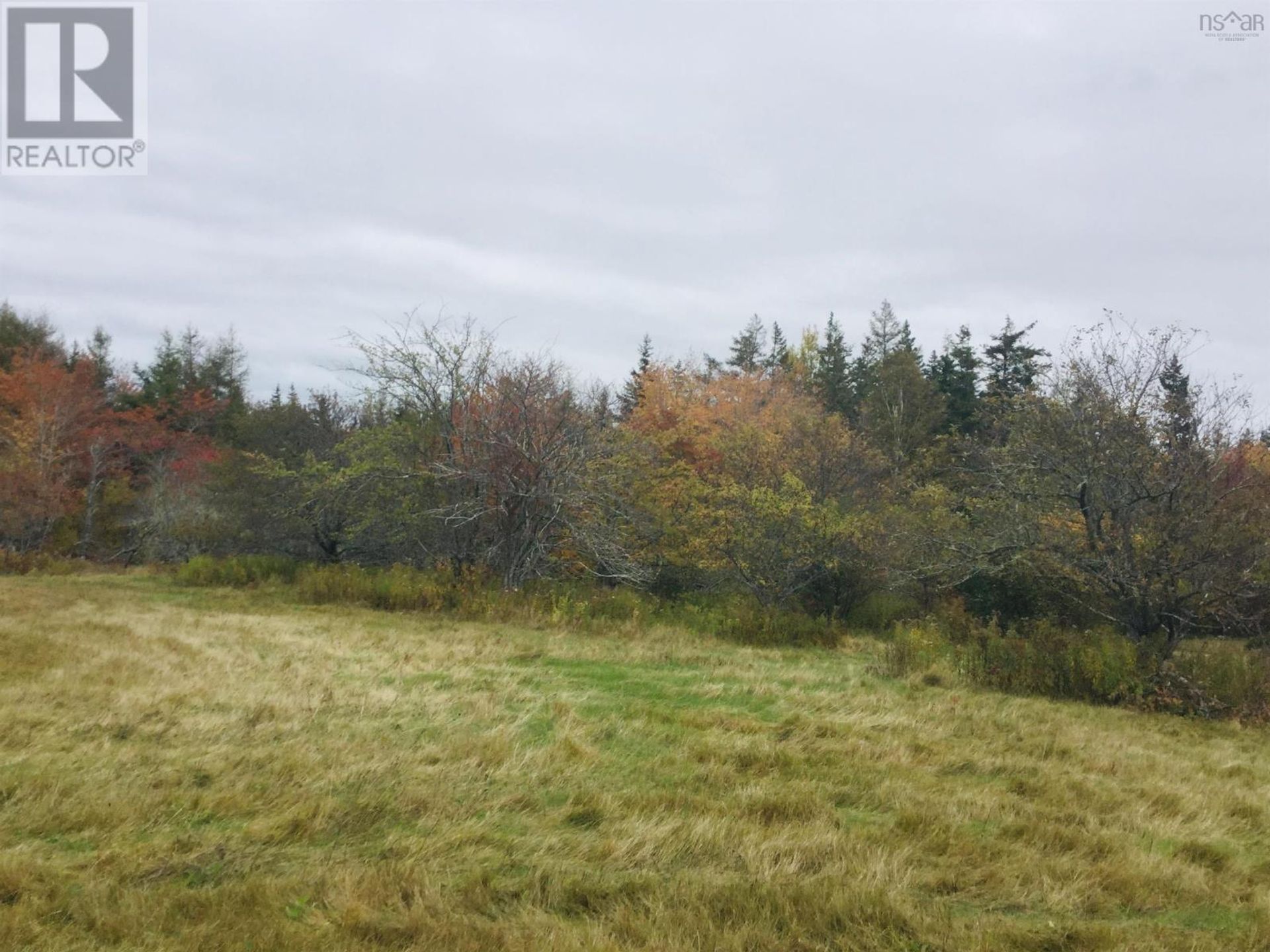 भूमि में Orangedale, Nova Scotia 10171191