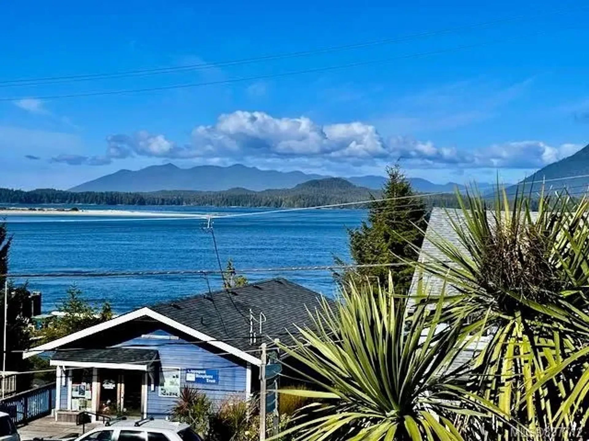 آخر في Tofino, British Columbia 10171588