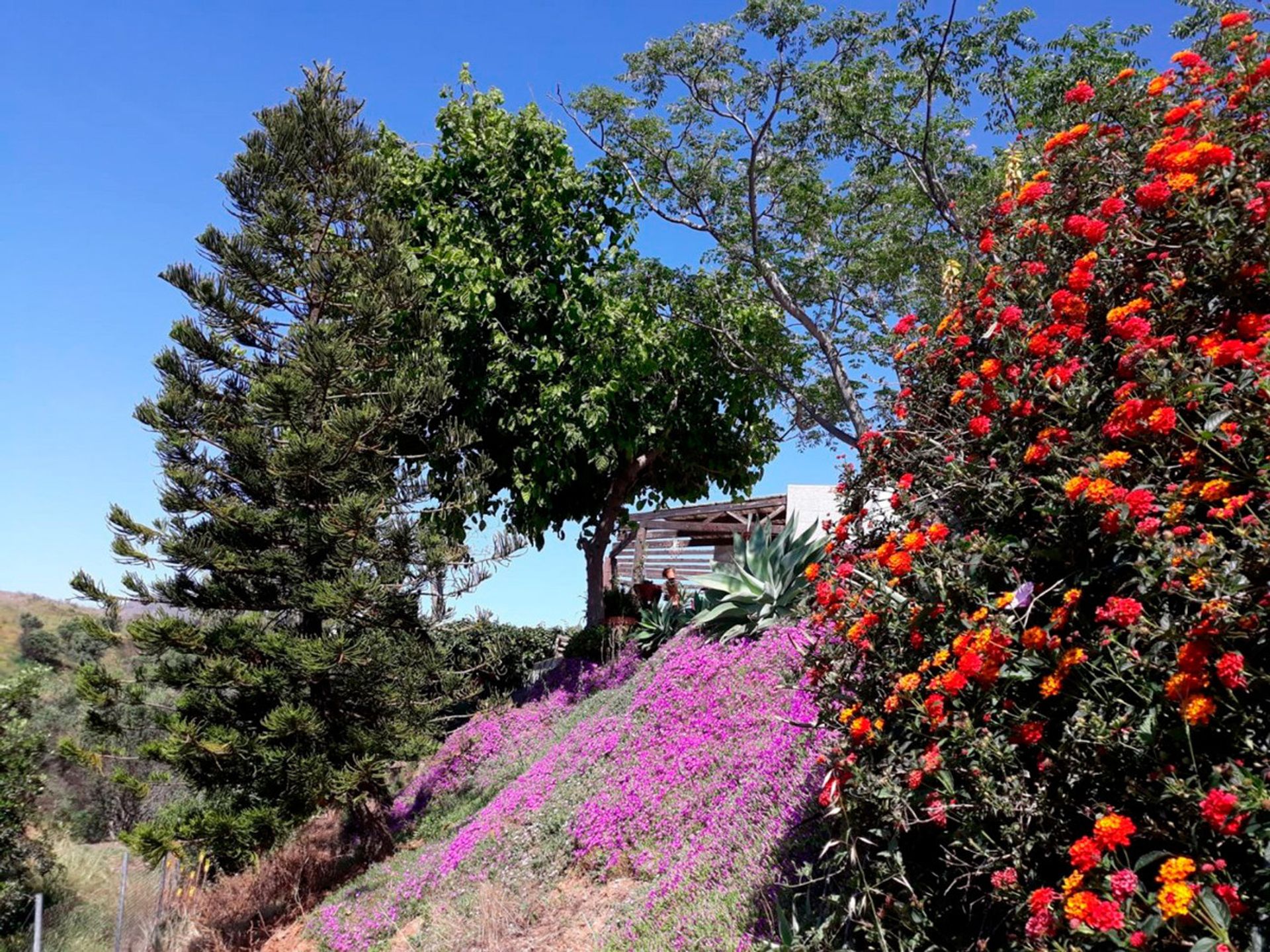 Huis in Mijas, Andalusië 10171598