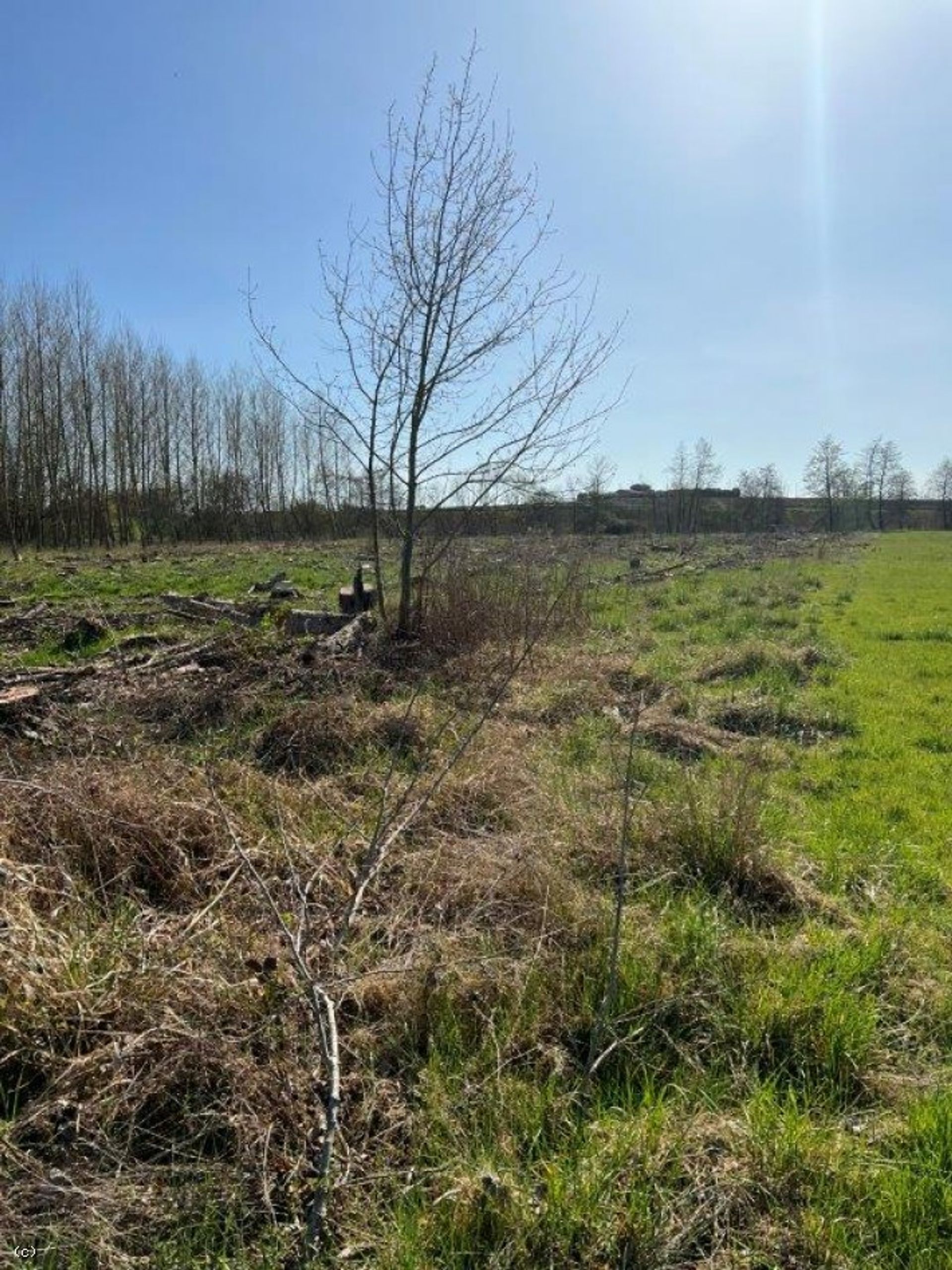 Borettslag i Verteuil-sur-Charente, Nouvelle-Aquitaine 10171686