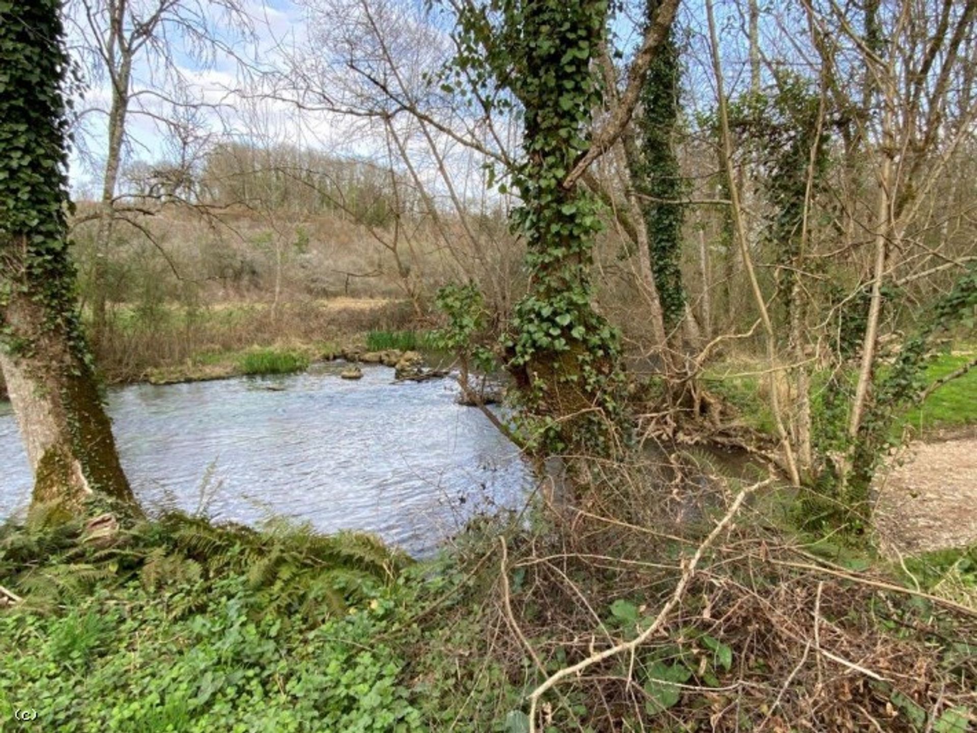 Jord i Cellefrouin, Nouvelle-Aquitaine 10171687