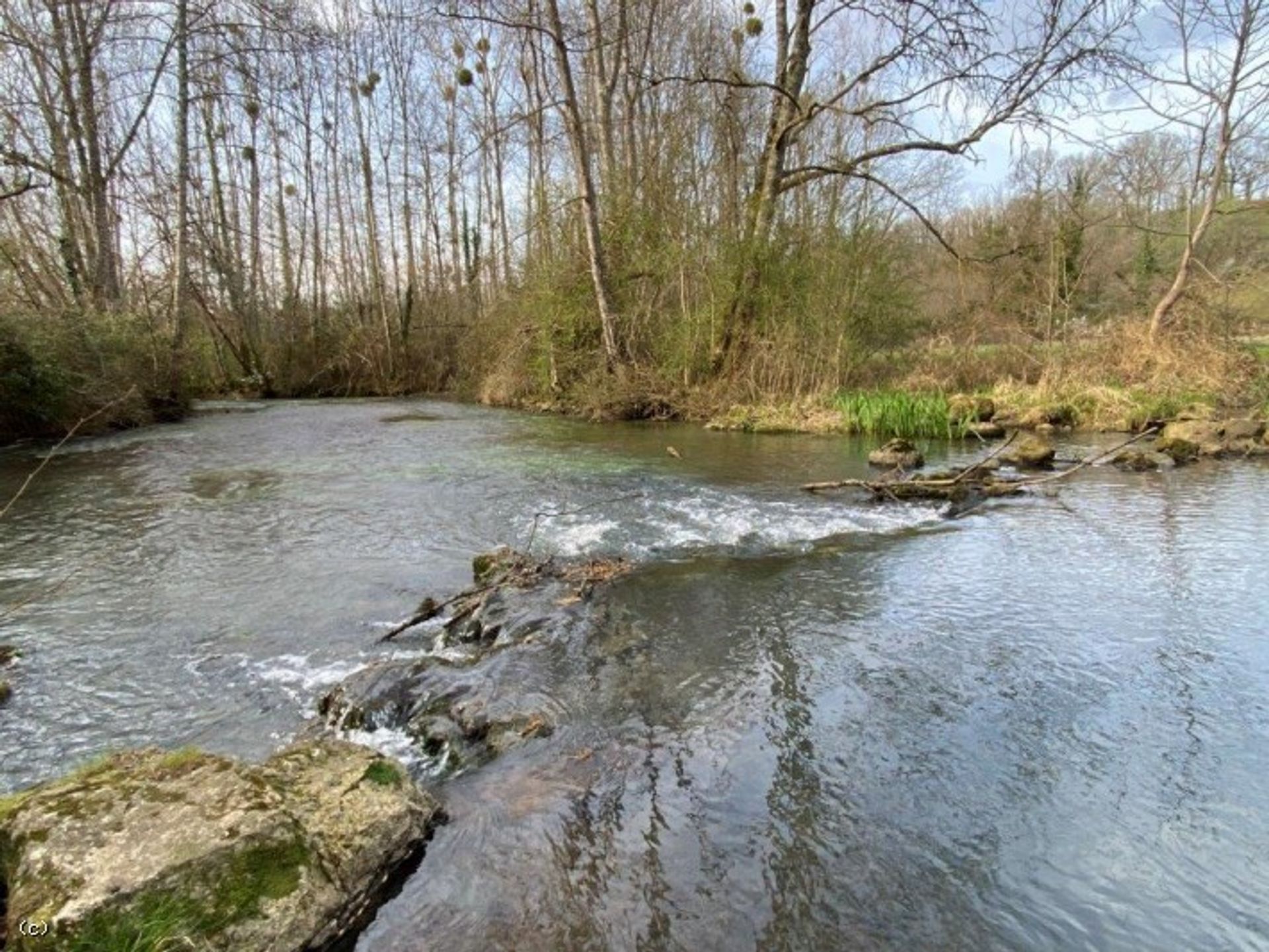 Земельные участки в Cellefrouin, Nouvelle-Aquitaine 10171687