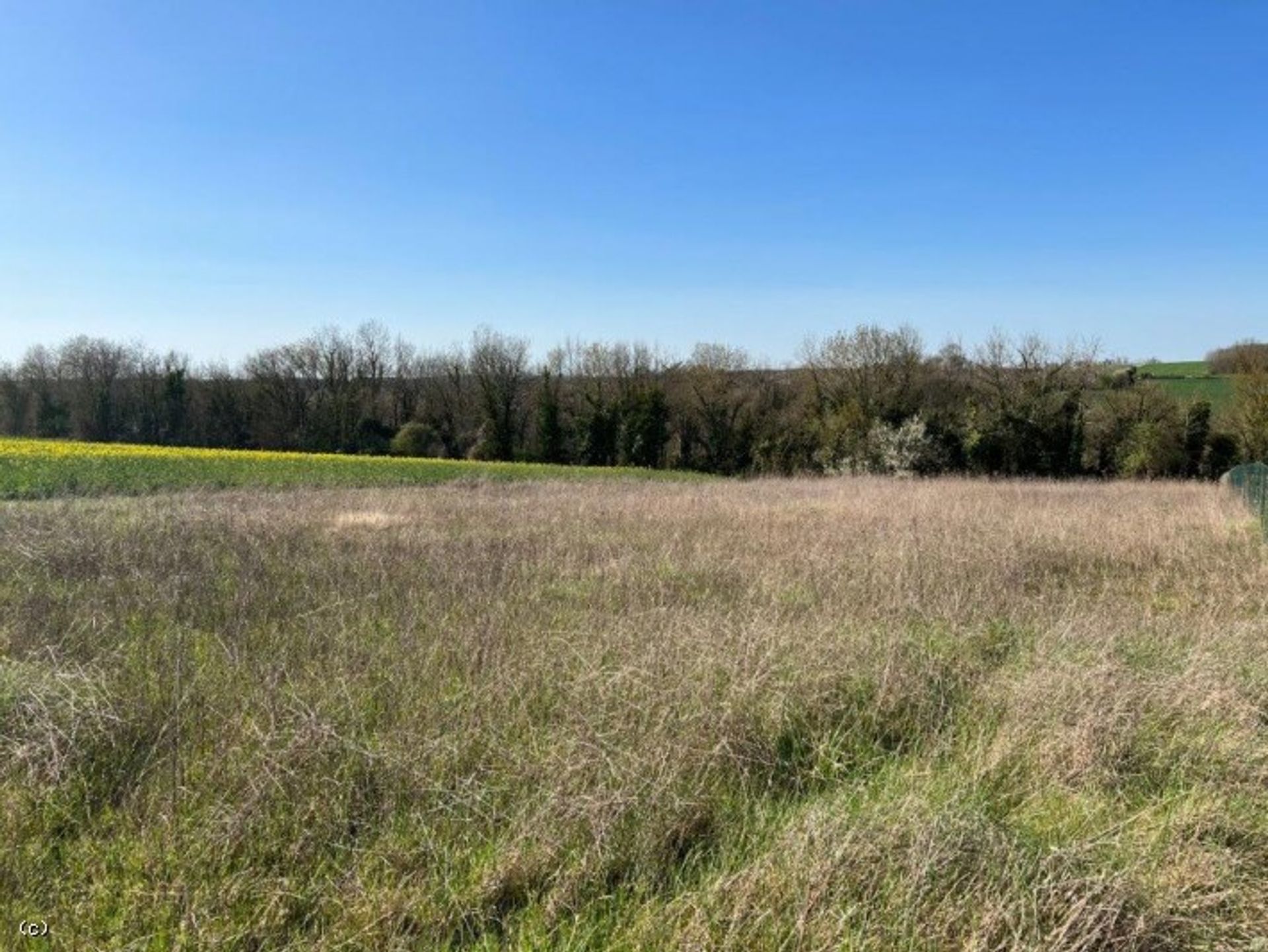 Земля в Verteuil-sur-Charente, Nouvelle-Aquitaine 10171689