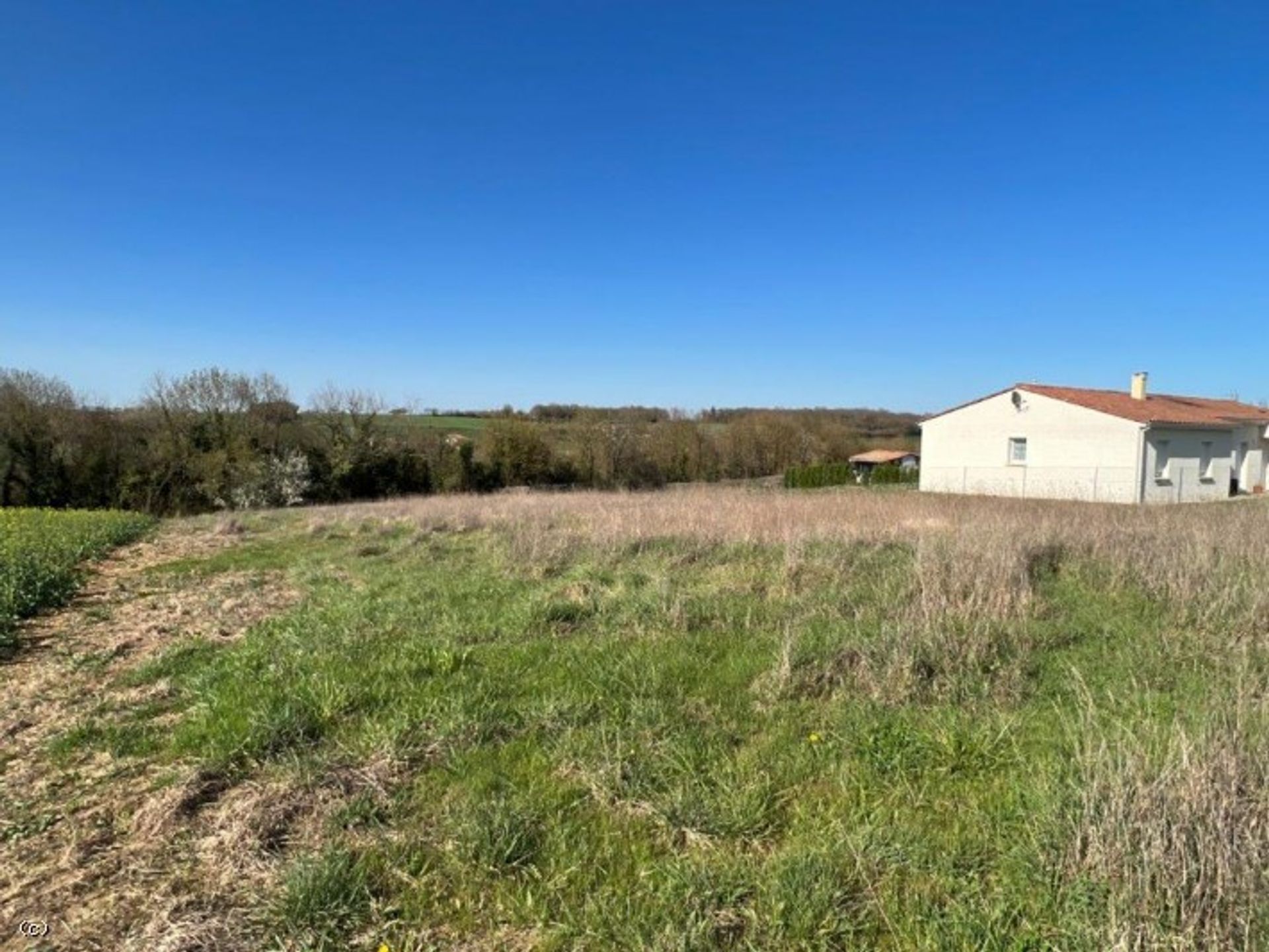 Land in Verteuil-sur-Charente, Nouvelle-Aquitaine 10171689