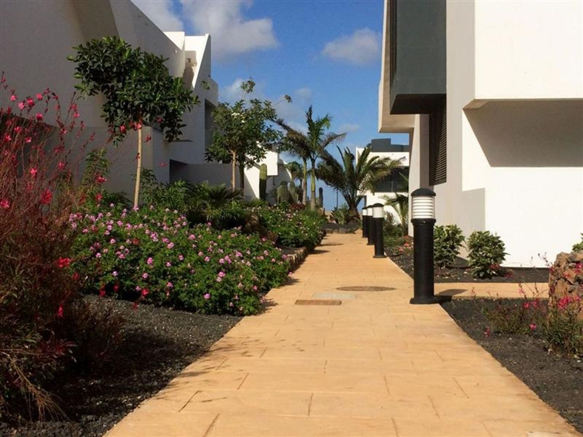 Condominium in , Canary Islands 10171853