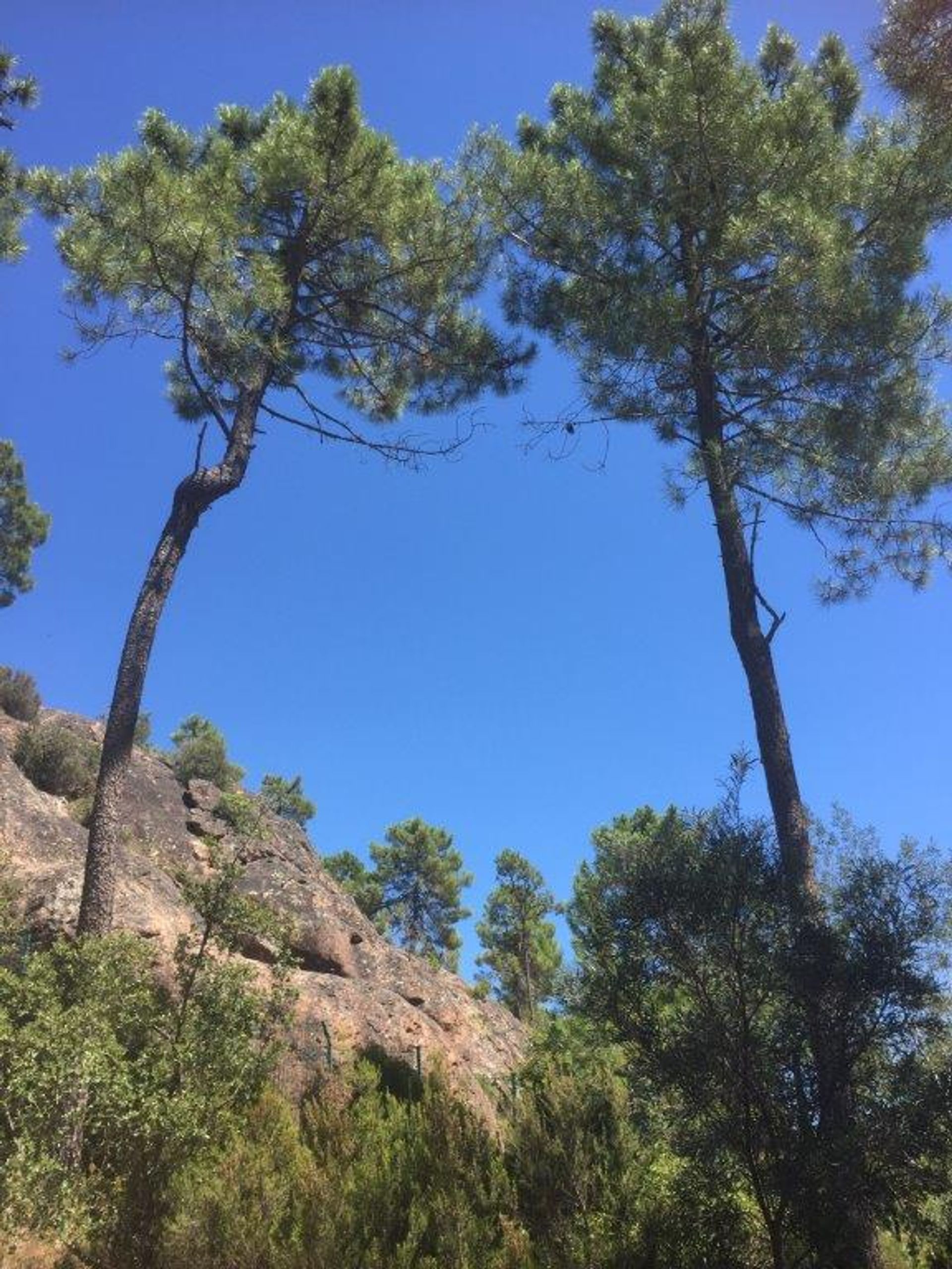 House in Fréjus, Provence-Alpes-Côte d'Azur 10171880