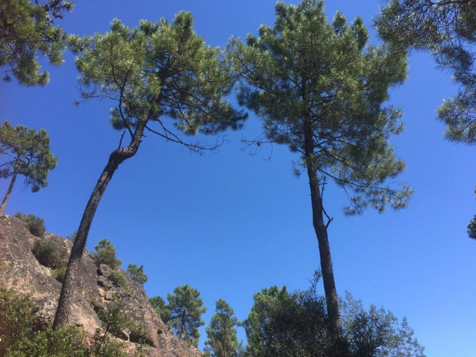 House in Fréjus, Provence-Alpes-Côte d'Azur 10171880