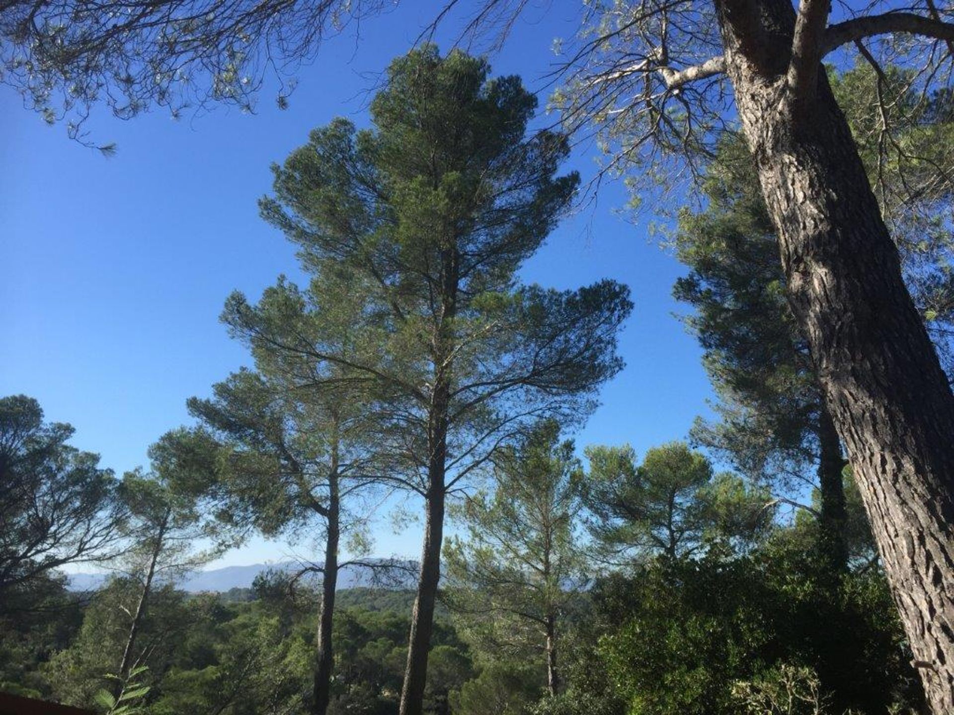 House in Fréjus, Provence-Alpes-Côte d'Azur 10171880