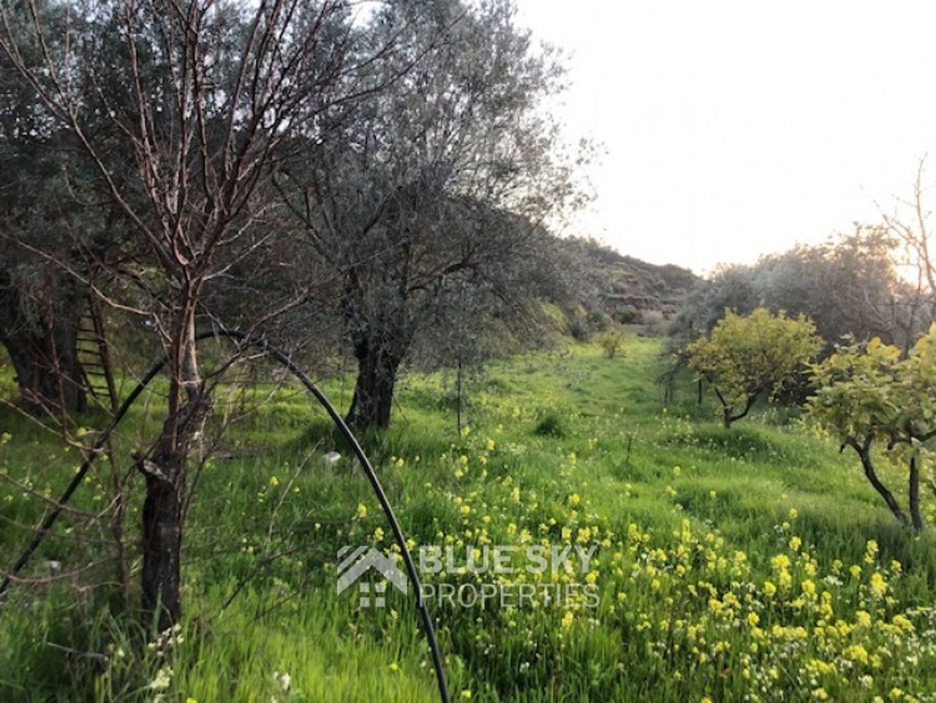 Land i Parekklisia, Larnaka 10173972