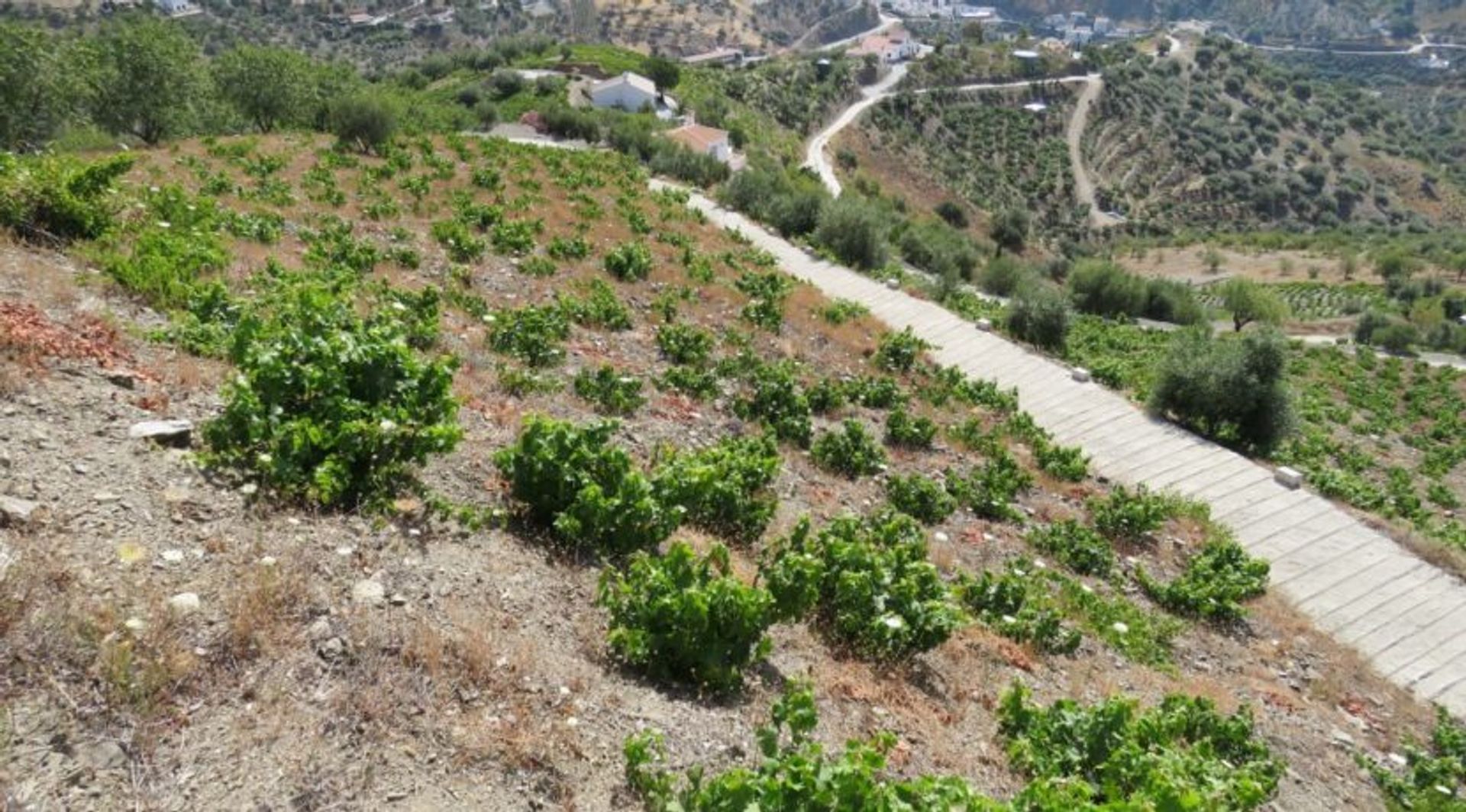 rumah dalam Árchez, Andalusia 10175494