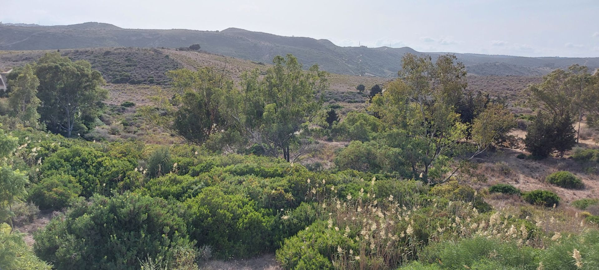 loger dans Puerto de la Duquesa, Andalusia 10175587