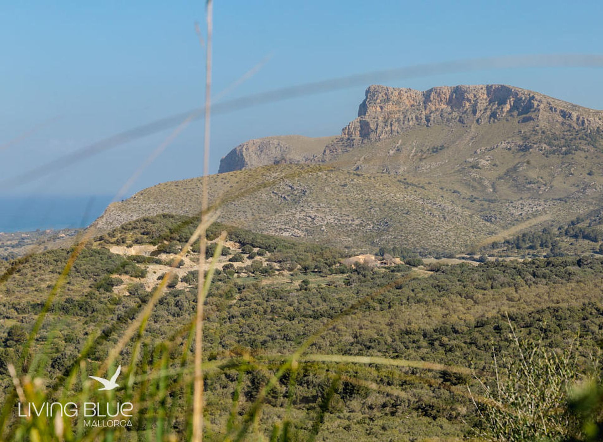 casa no Colònia de Sant Pere, Balearic Islands 10175832