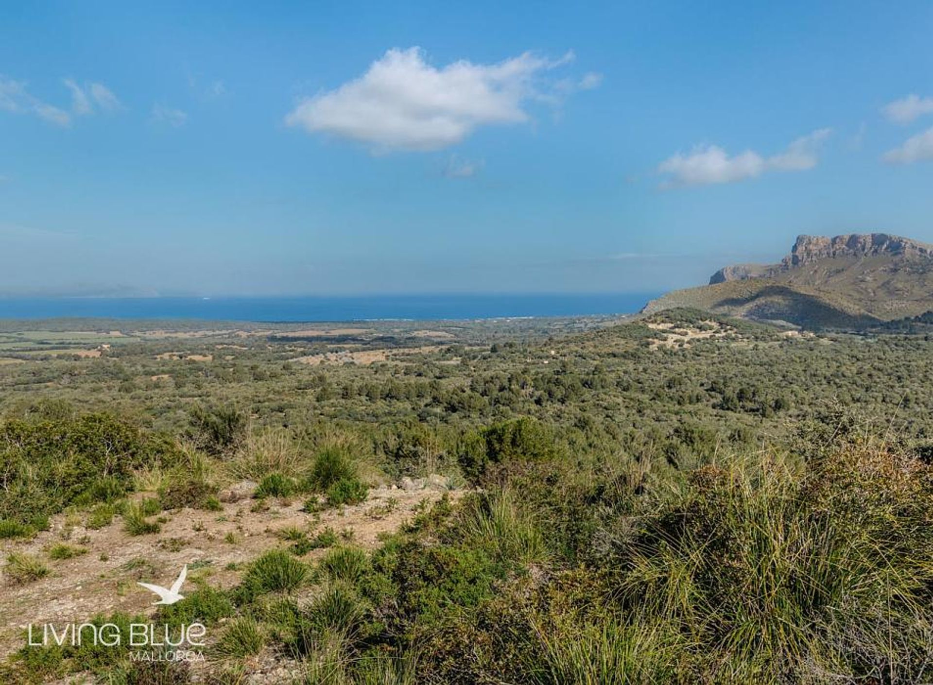 casa no Colònia de Sant Pere, Balearic Islands 10175832