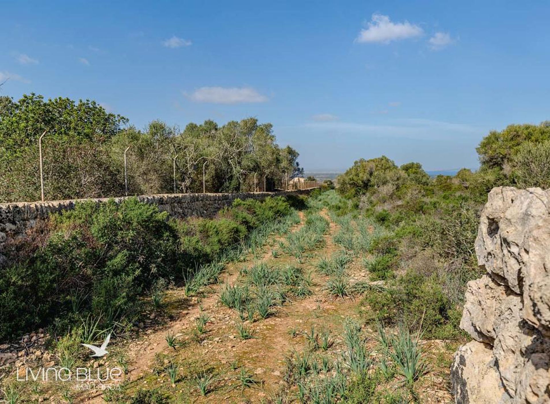 casa no Colònia de Sant Pere, Balearic Islands 10175832