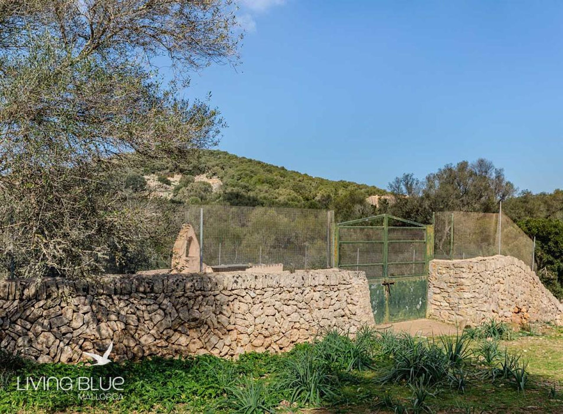 casa no Colònia de Sant Pere, Balearic Islands 10175832