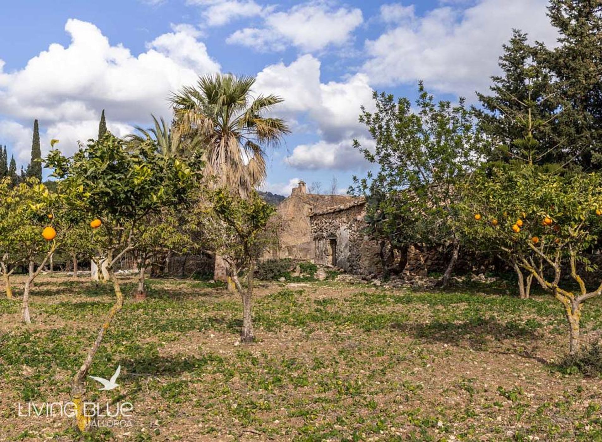 rumah dalam Pollença, Balearic Islands 10175850