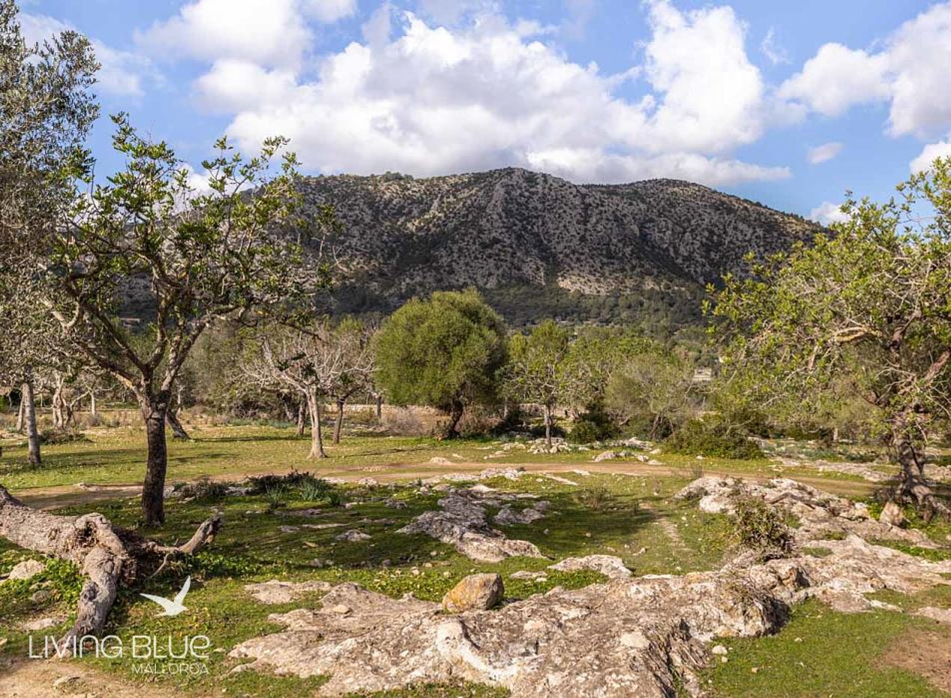 rumah dalam Pollença, Balearic Islands 10175850