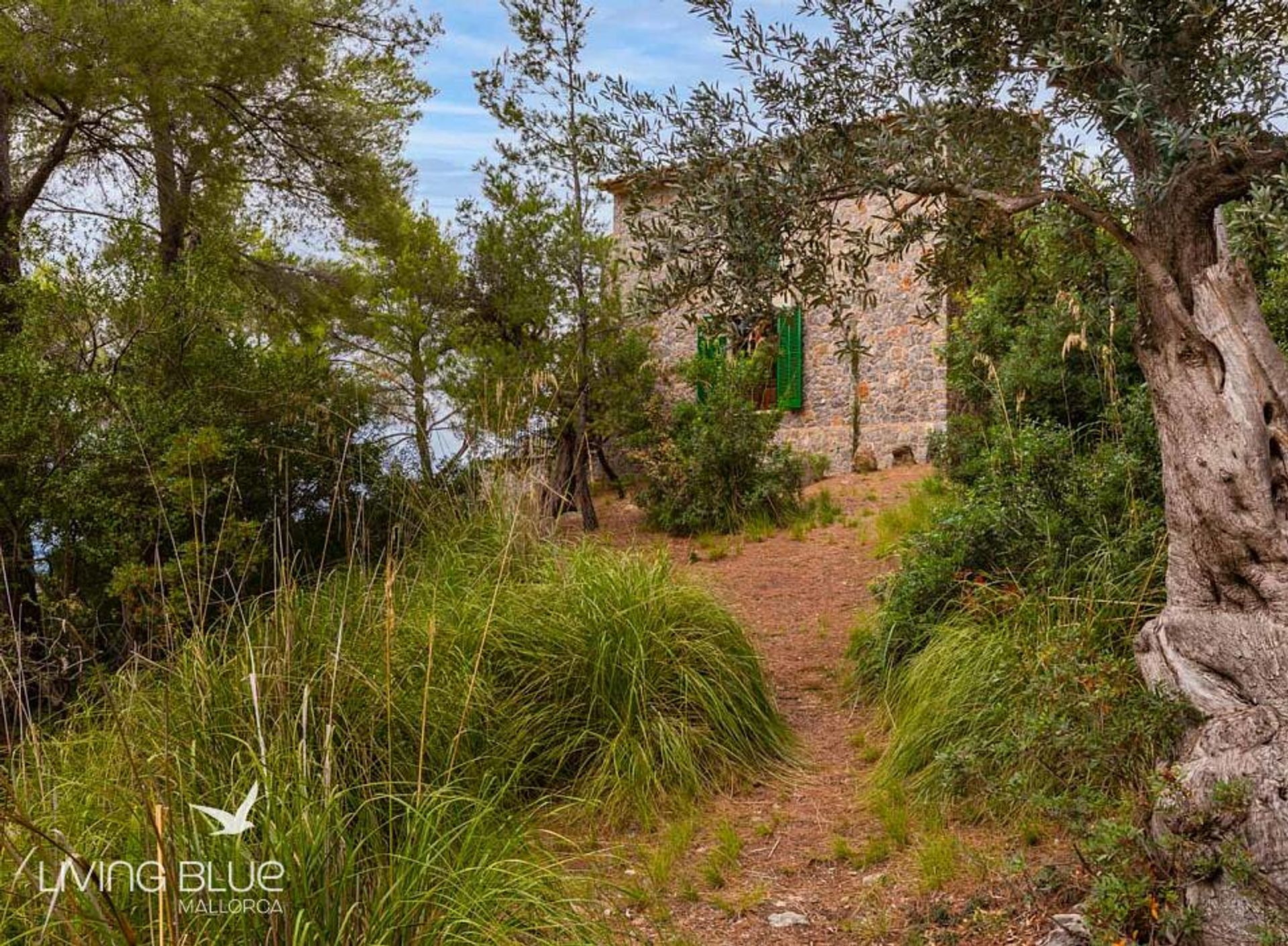 Casa nel Deià, Balearic Islands 10175862