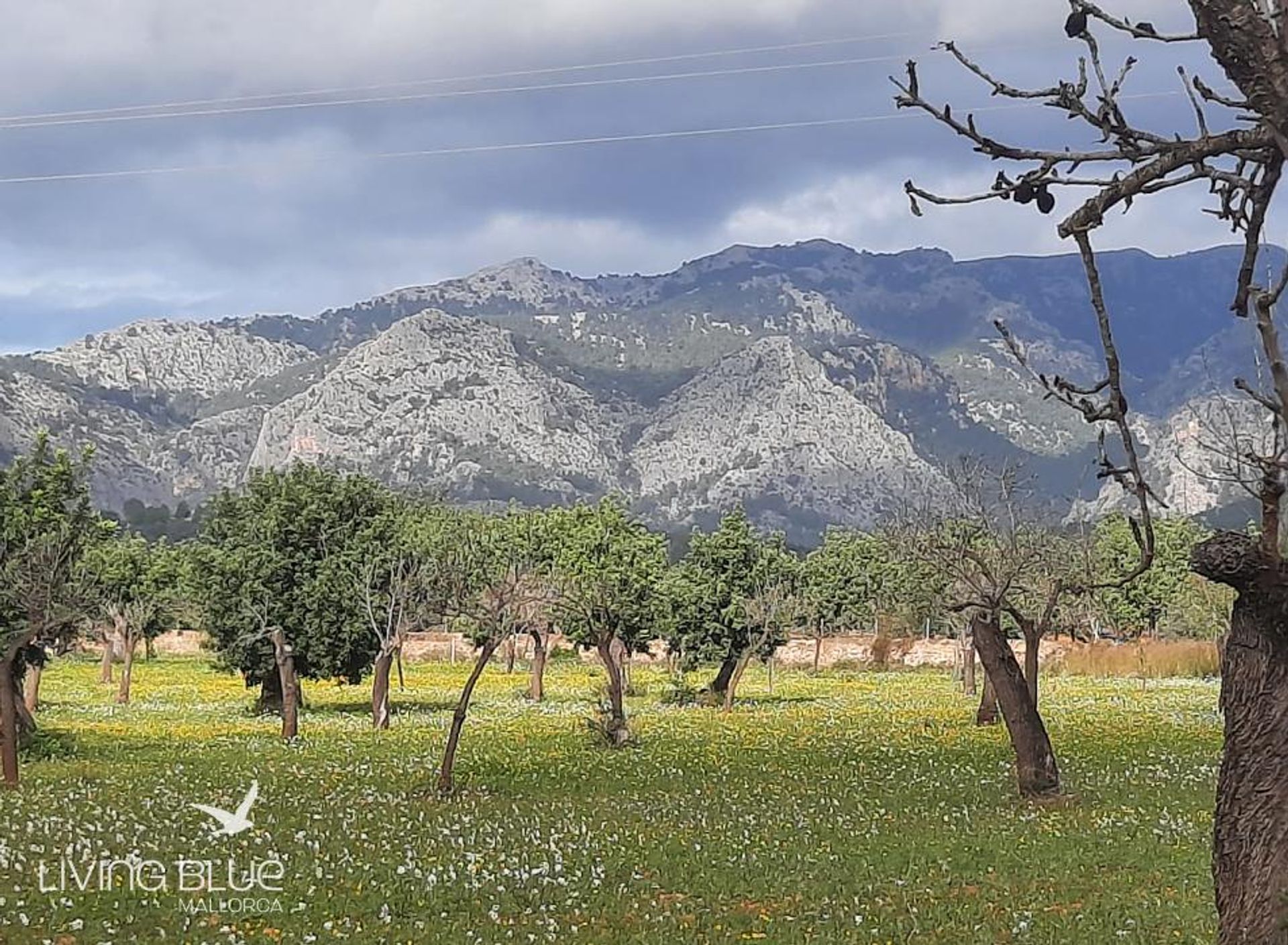 loger dans Bunyola, Balearic Islands 10175886