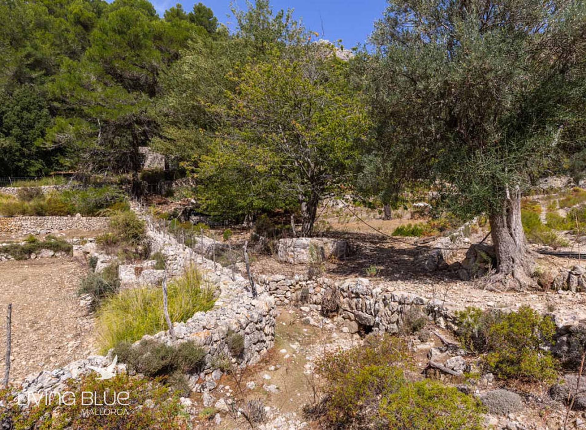 rumah dalam Pollença, Balearic Islands 10175942