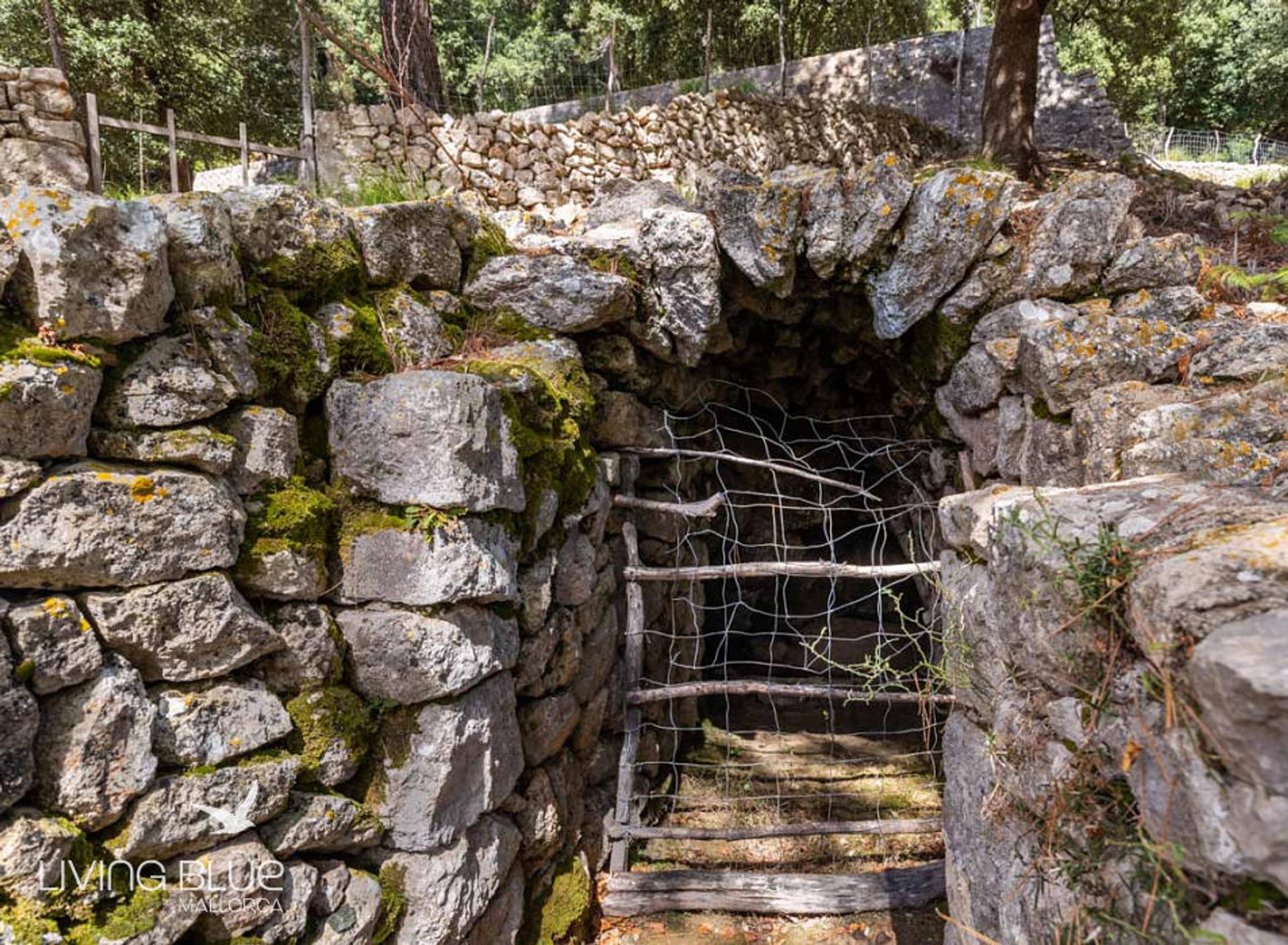 rumah dalam Pollença, Balearic Islands 10175942