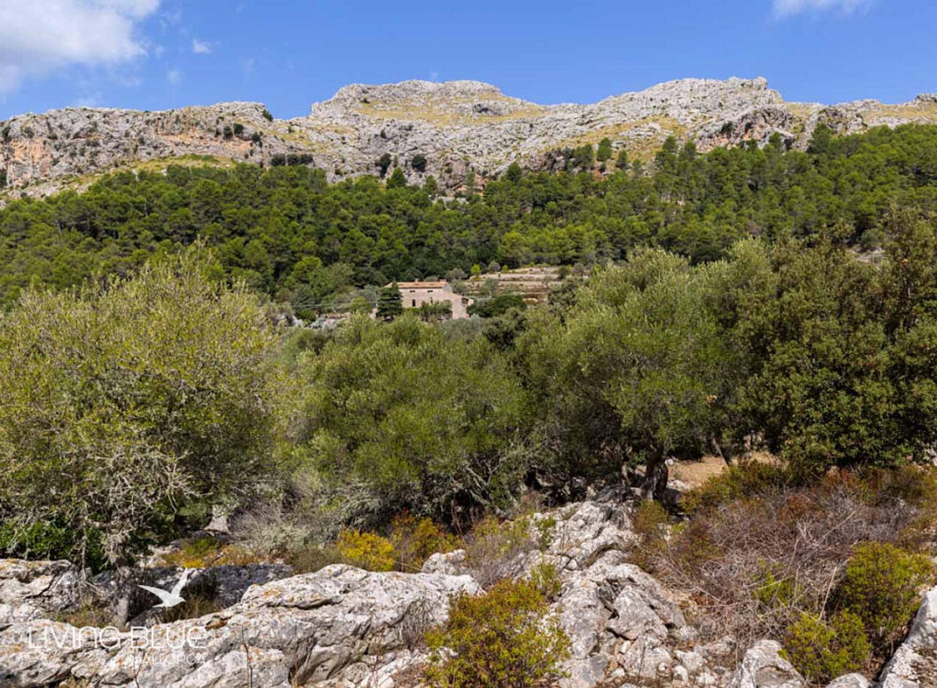 rumah dalam Pollença, Balearic Islands 10175942