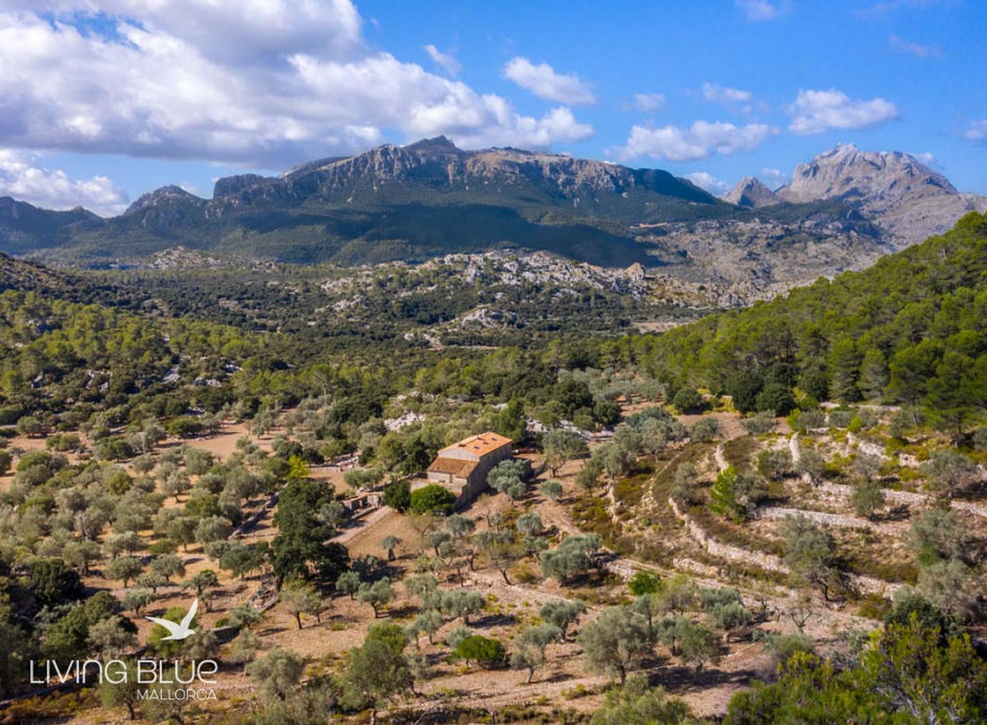 rumah dalam Pollença, Balearic Islands 10175942