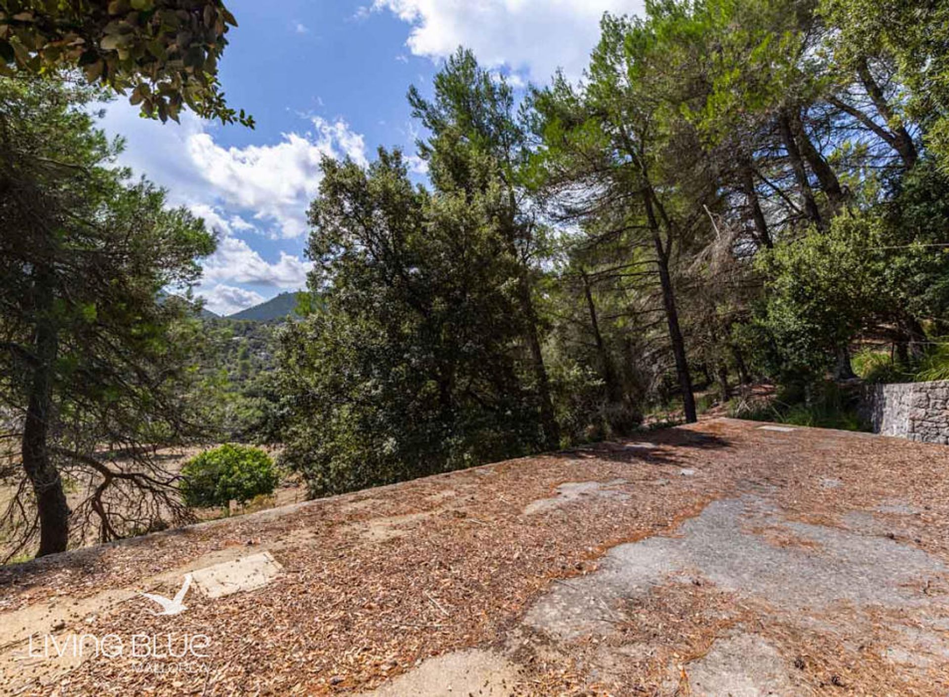 rumah dalam Pollença, Balearic Islands 10175942