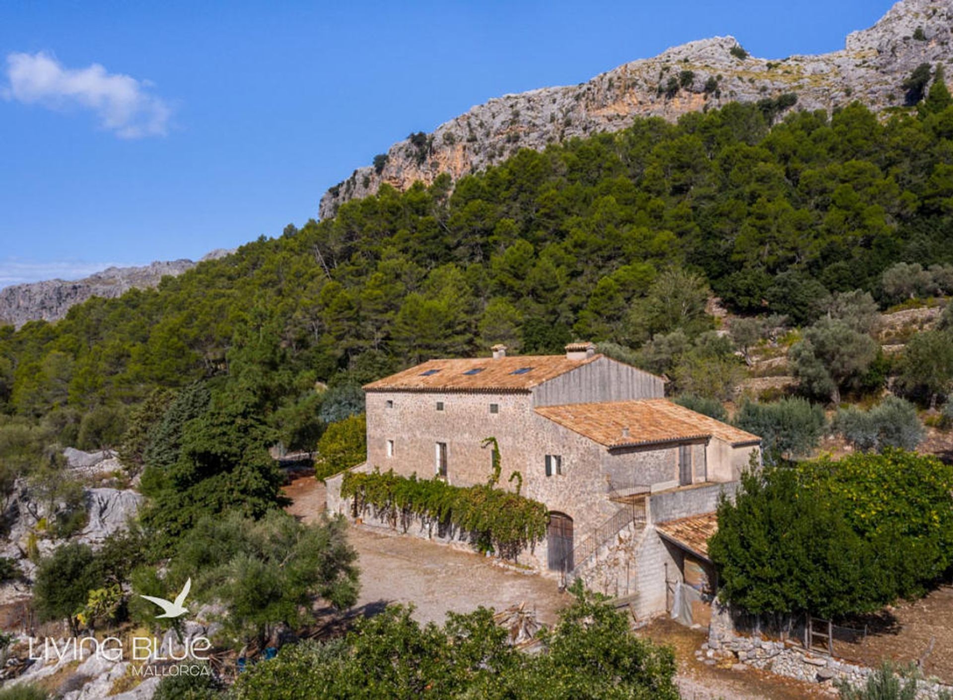 rumah dalam Pollença, Balearic Islands 10175942