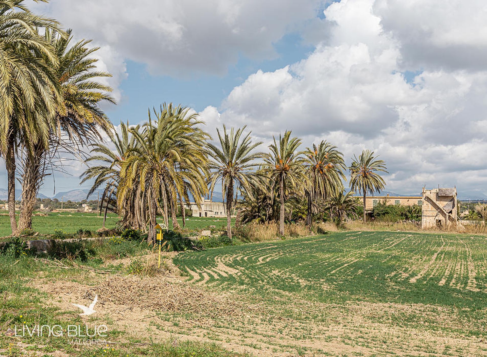 Інший в Sa Casa Blanca, Illes Balears 10175946