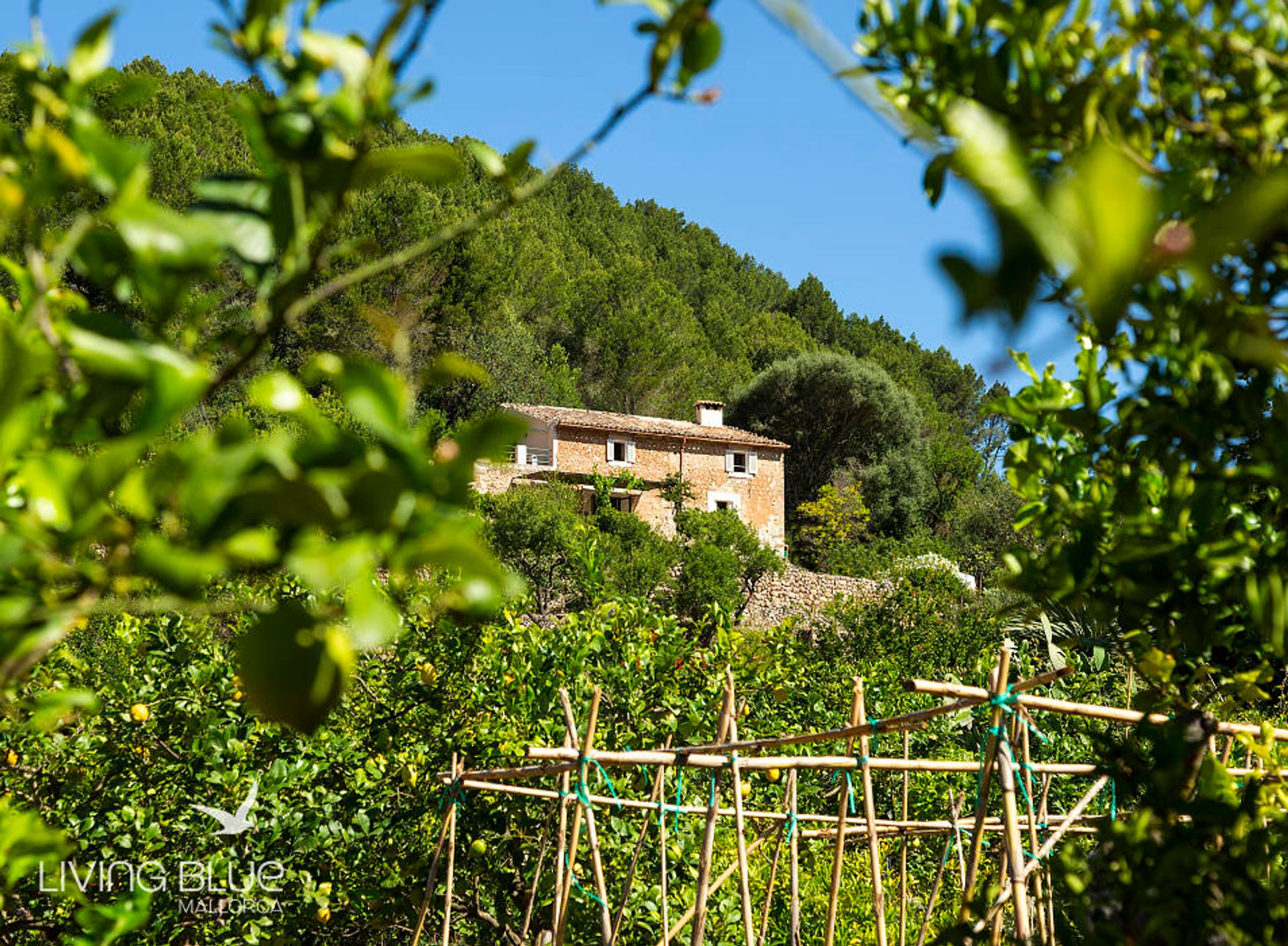 Інший в Sóller, Balearic Islands 10175953