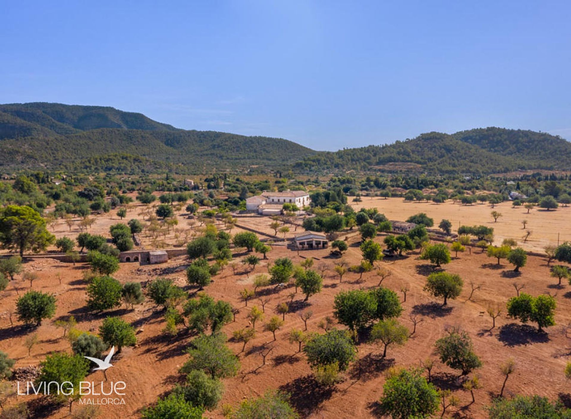 Talo sisään Bunyola, Balearic Islands 10175956