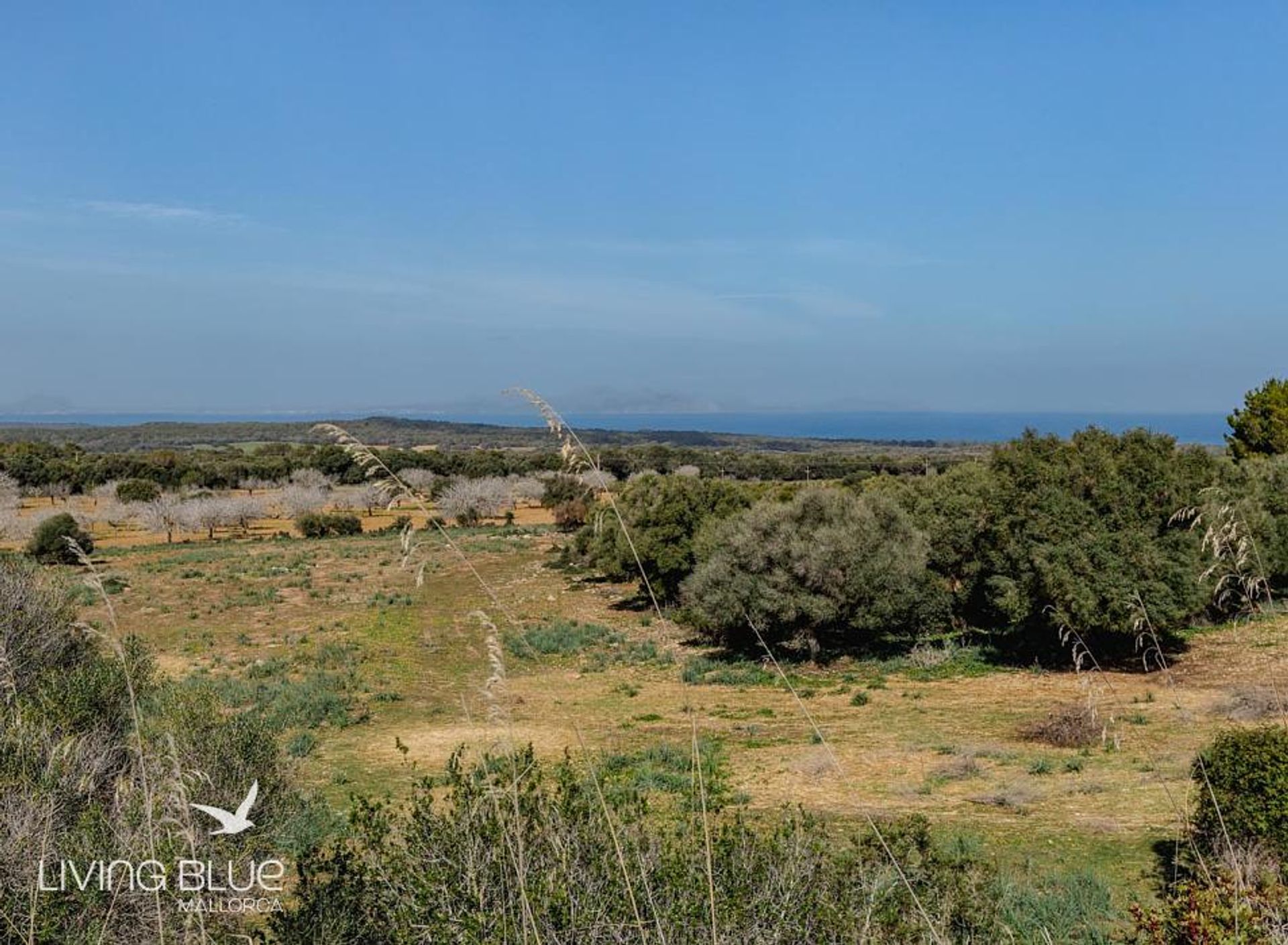 Yang lain dalam Colònia de Sant Pere, Balearic Islands 10175962