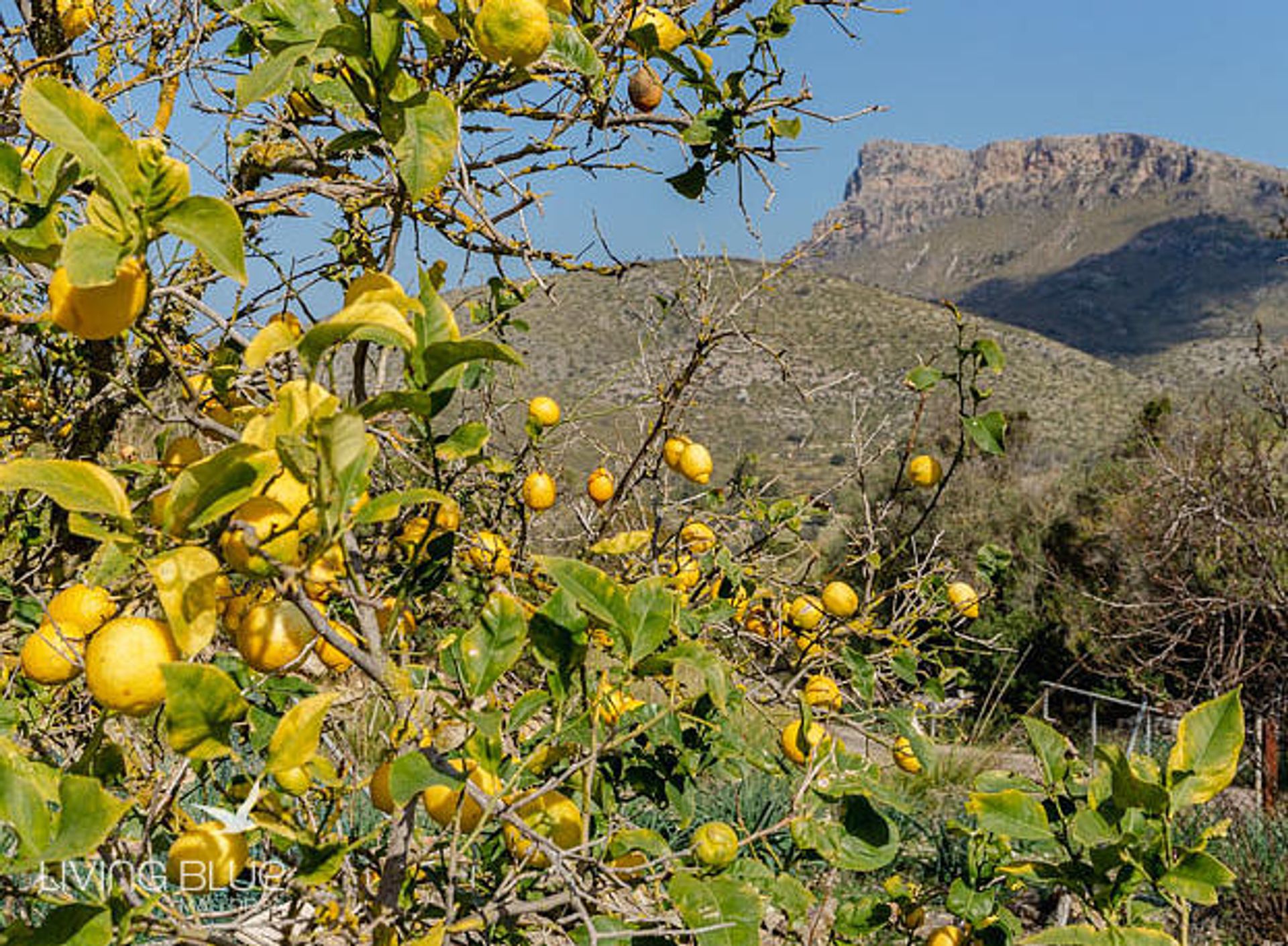 Yang lain dalam Colònia de Sant Pere, Balearic Islands 10175962