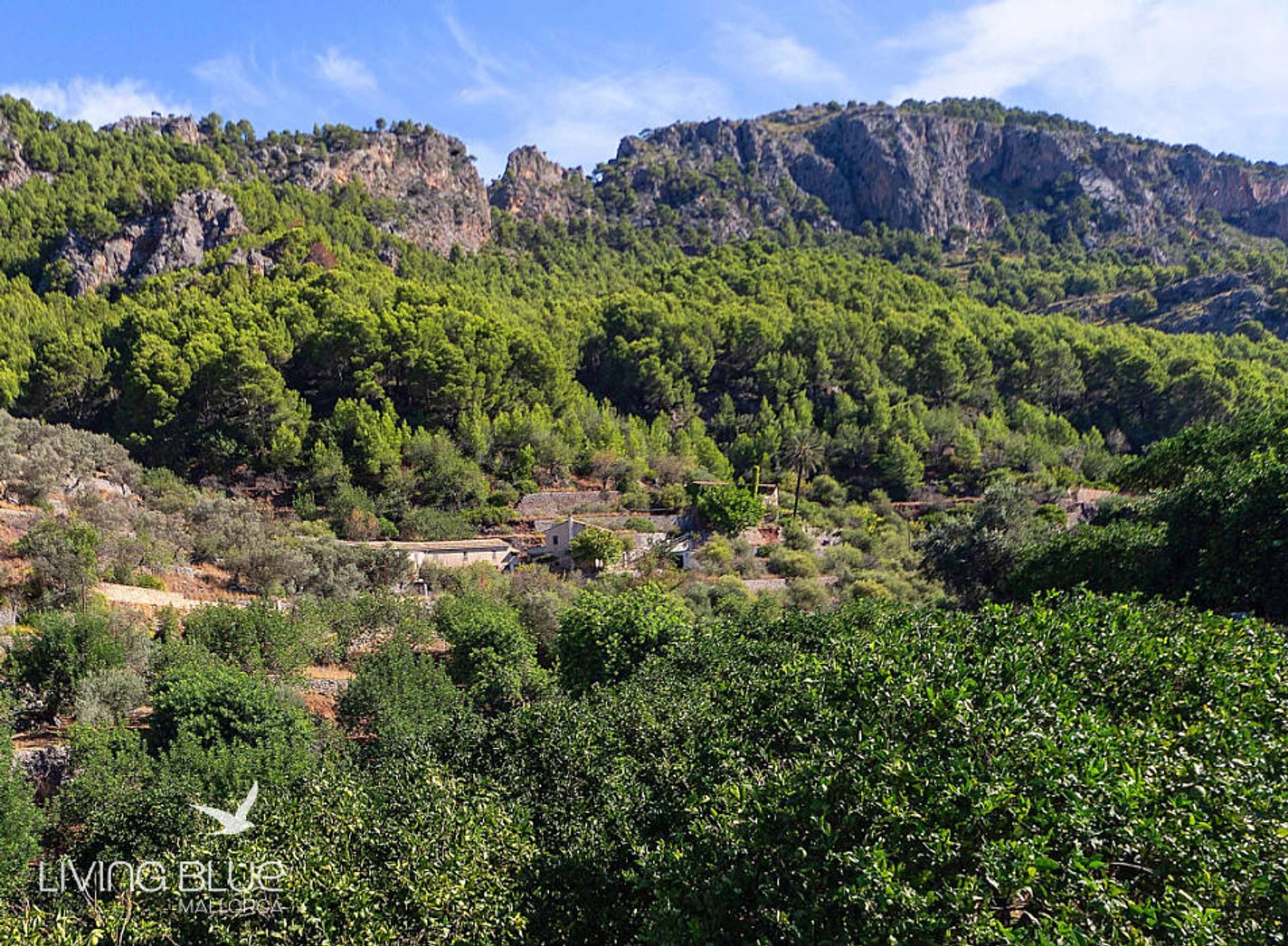 בַּיִת ב Port de Sóller, Balearic Islands 10176002