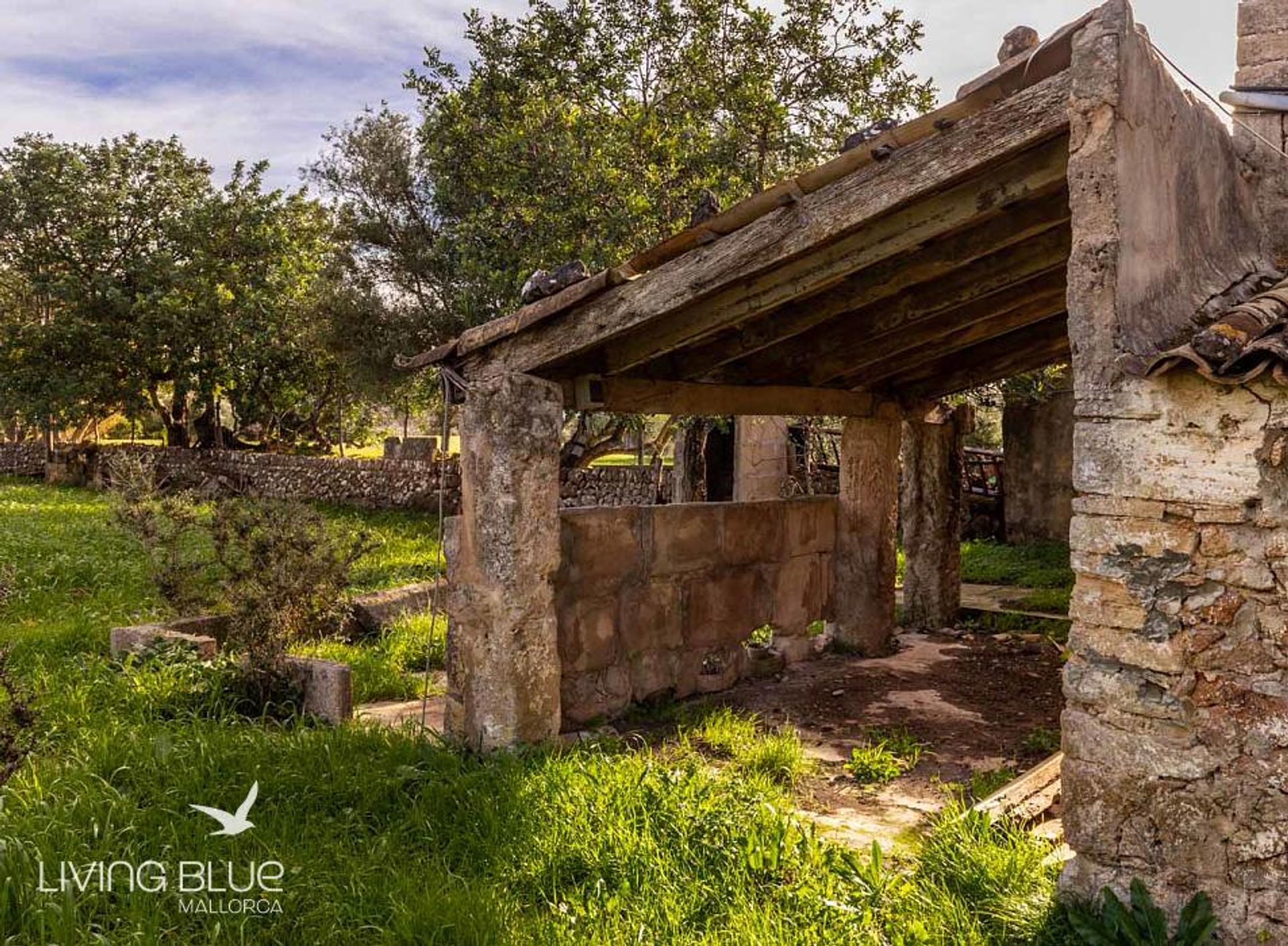 Andet i Pollença, Balearic Islands 10176114